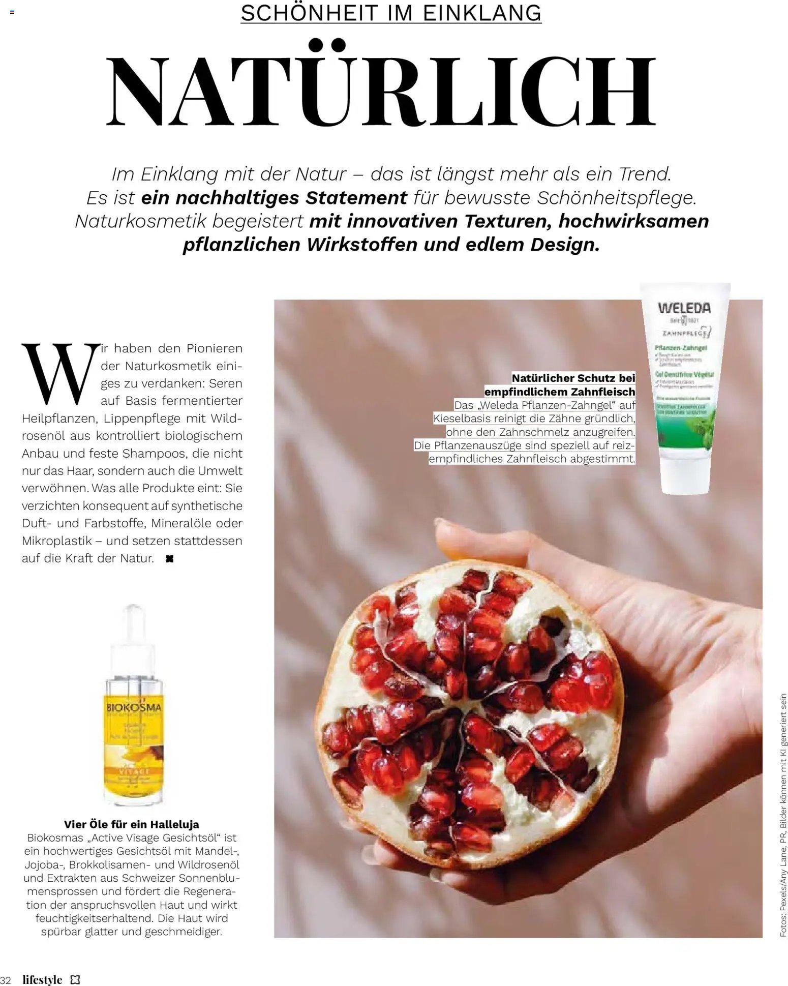 Müller Magazin (2025-11-14 - 2025-12-31)