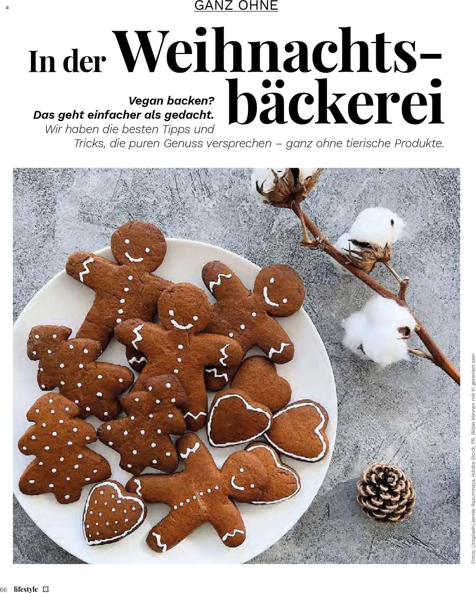 Müller Magazin (2025-11-14 - 2025-12-31)