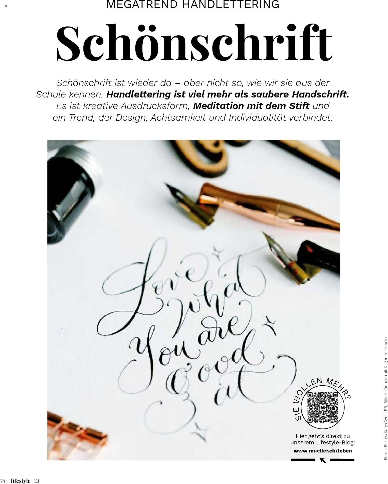 Müller Magazin (2025-11-14 - 2025-12-31)