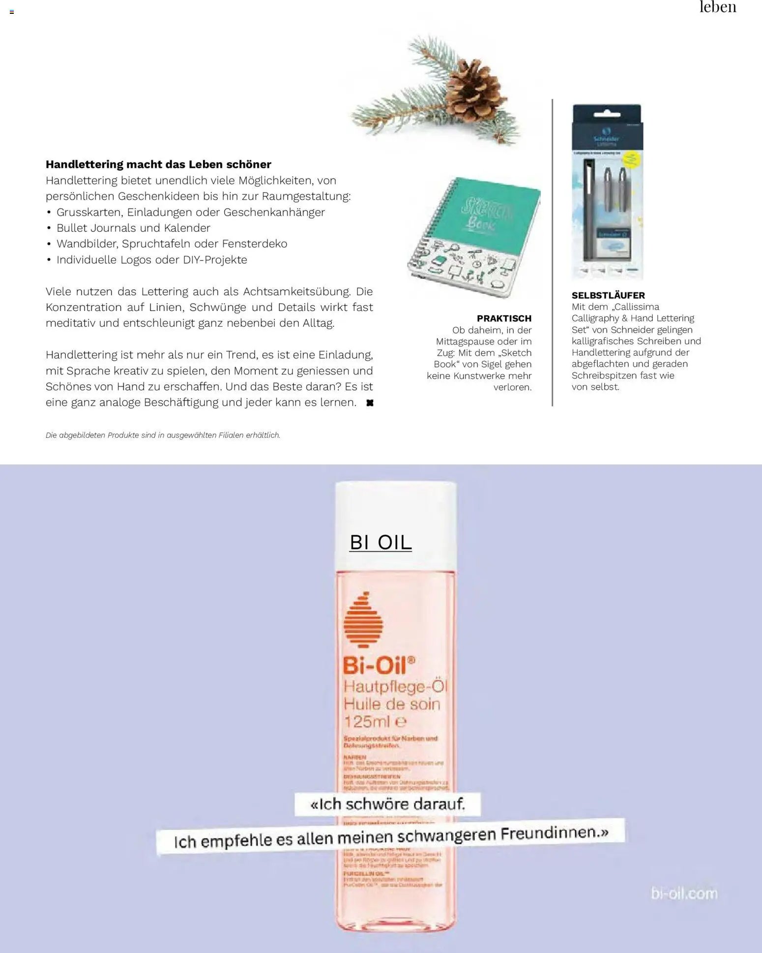 Müller Magazin (2025-11-14 - 2025-12-31)