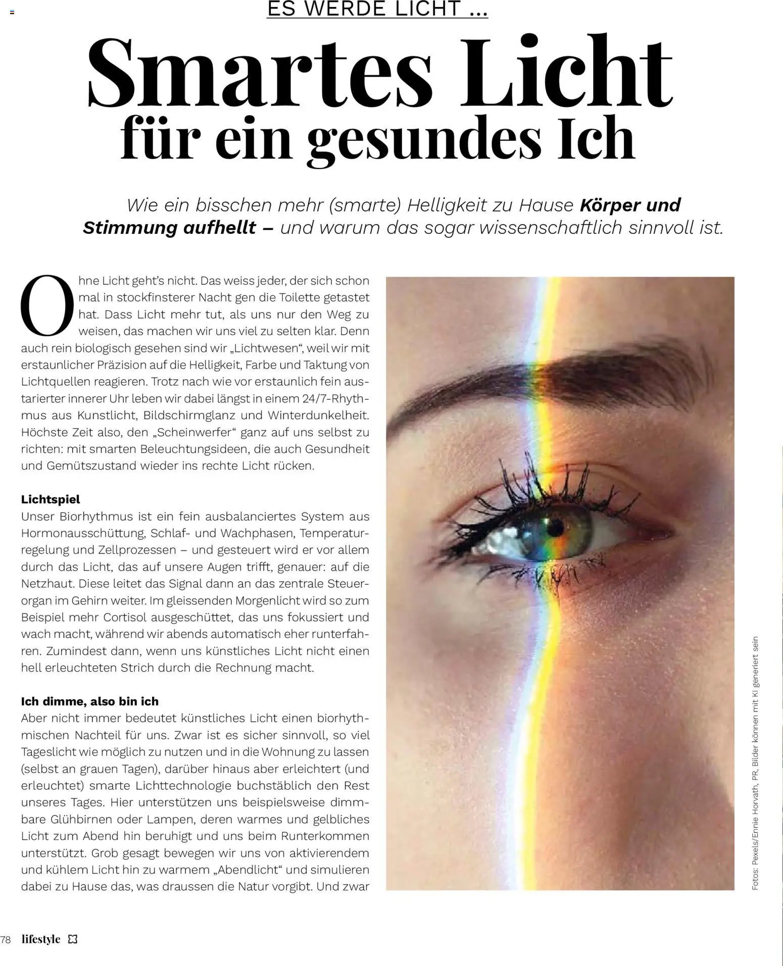 Müller Magazin (2025-11-14 - 2025-12-31)