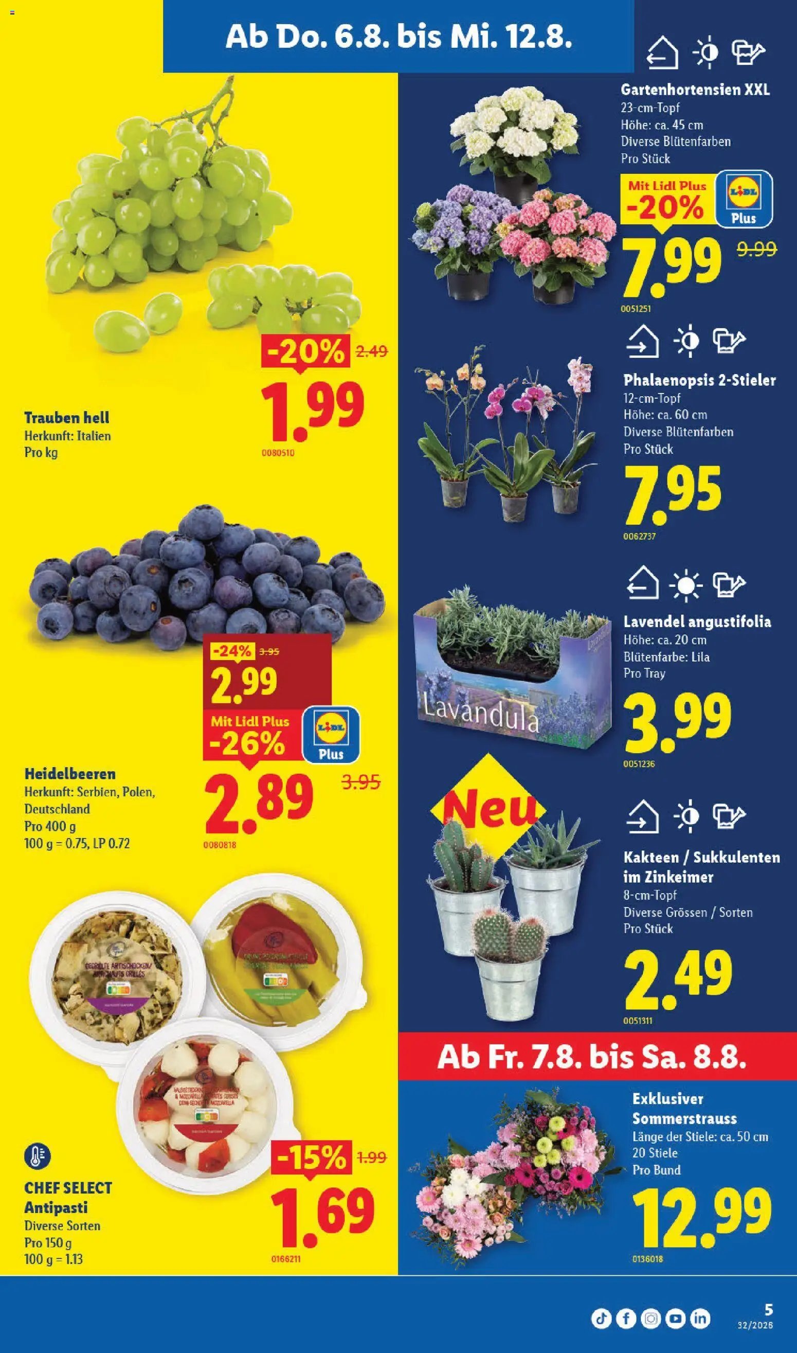 Lidl aktionen