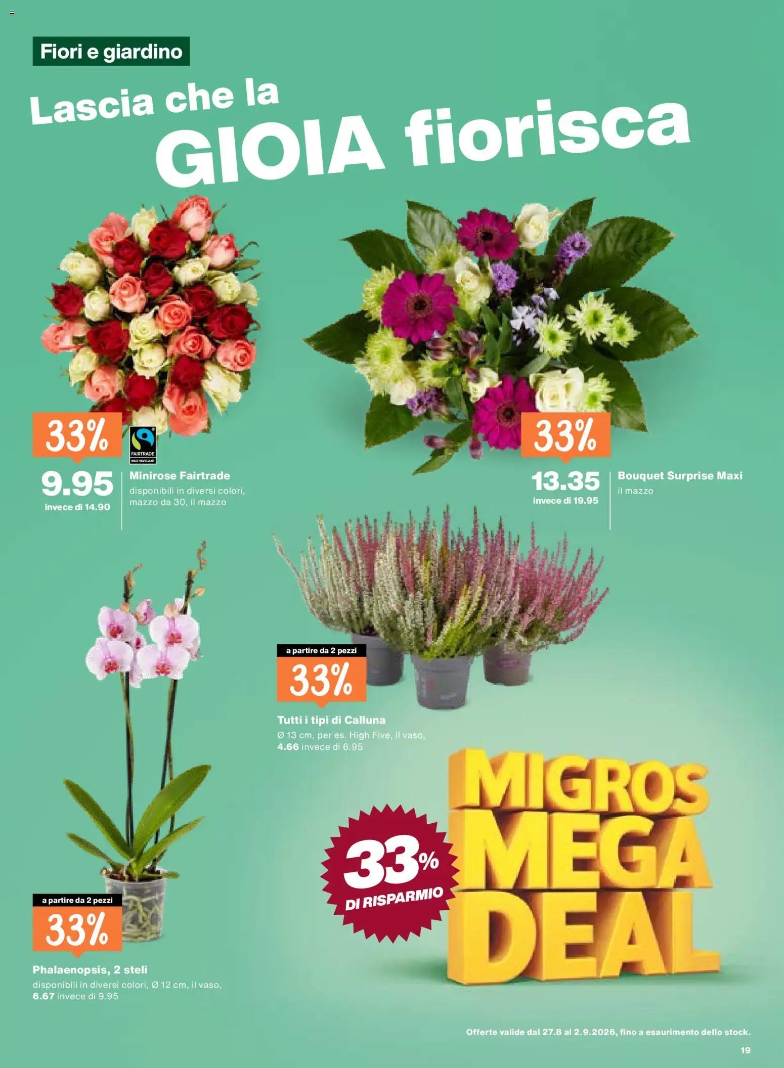 Migros aktionen IT