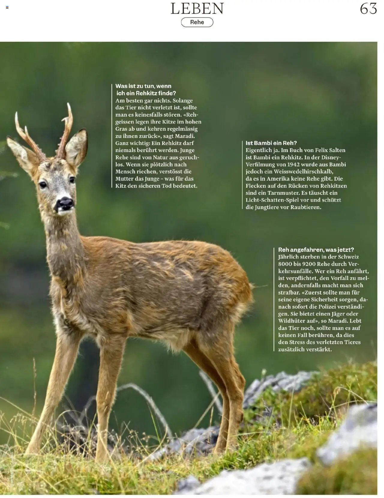 Migros Magazin (2025-09-22 - 2025-09-29)