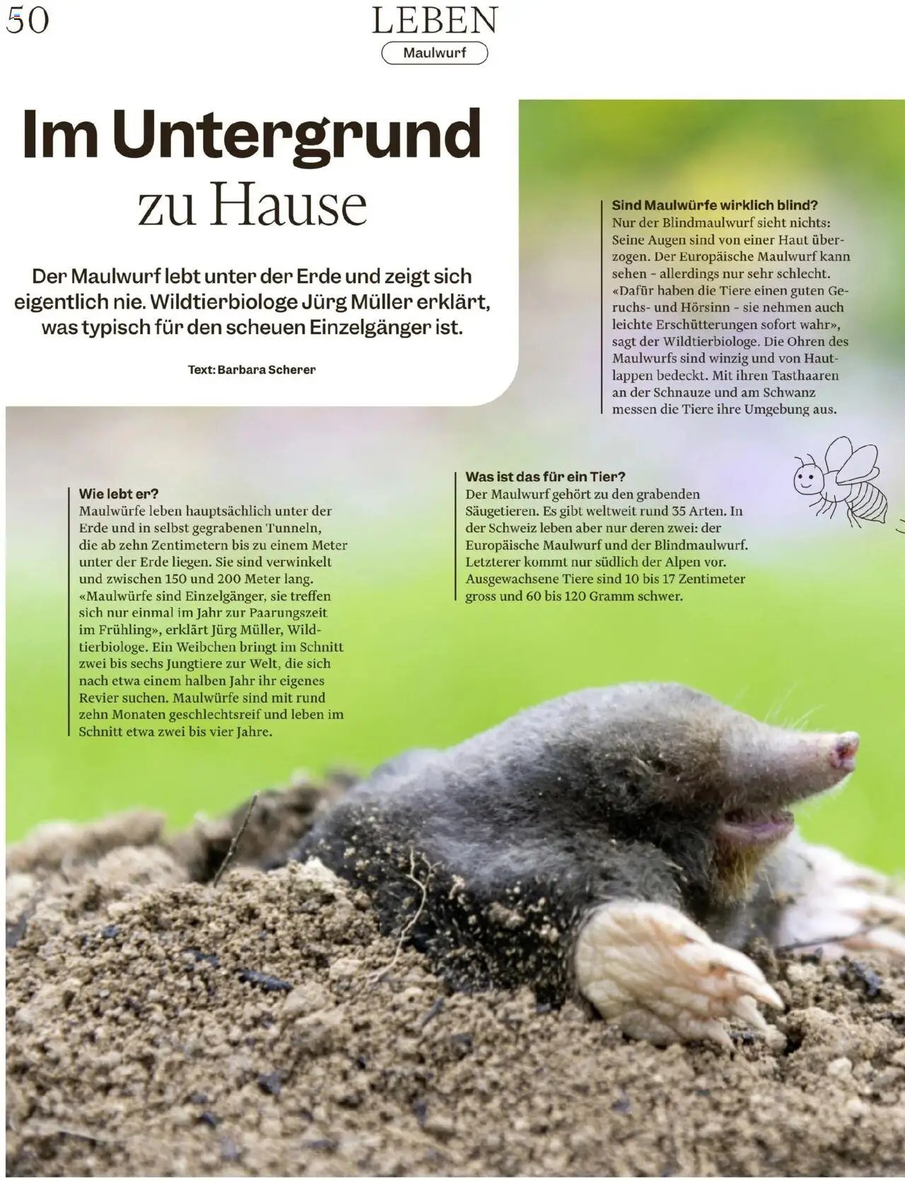 Migros - Magazin (2025-08-05 - 2025-08-11)