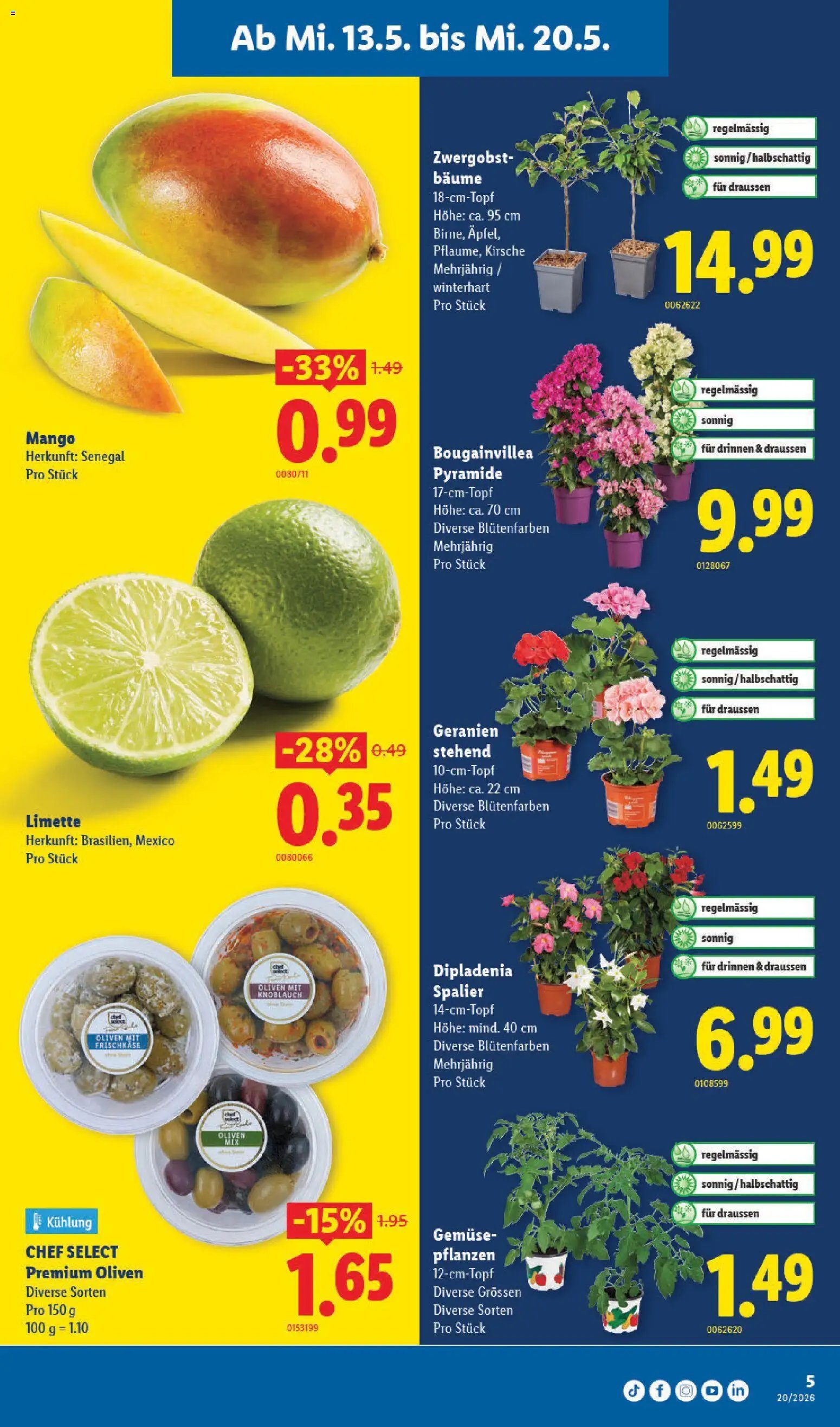 Lidl aktionen (2026-05-13 - 2026-05-20) | 5