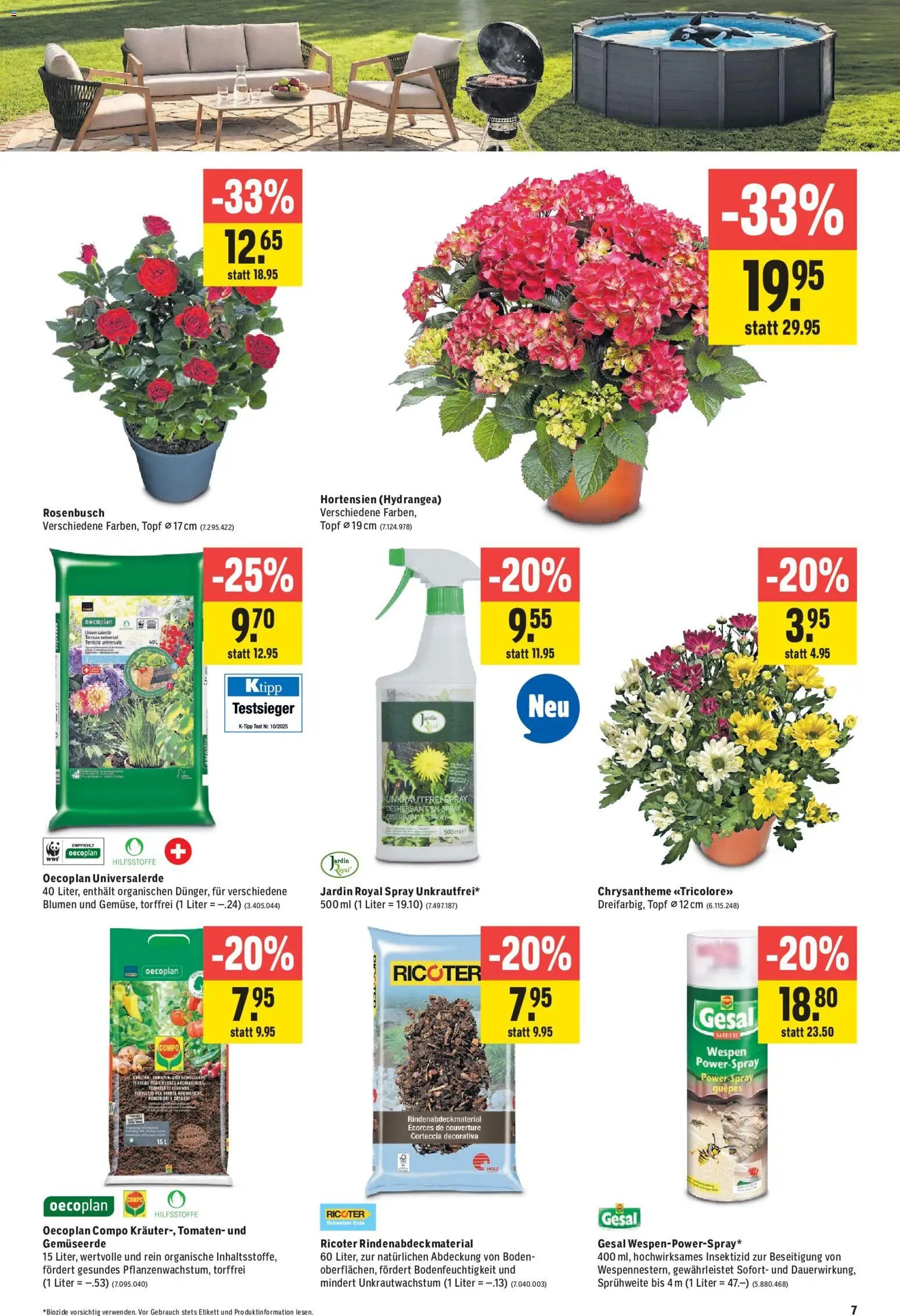 Jumbo aktionen