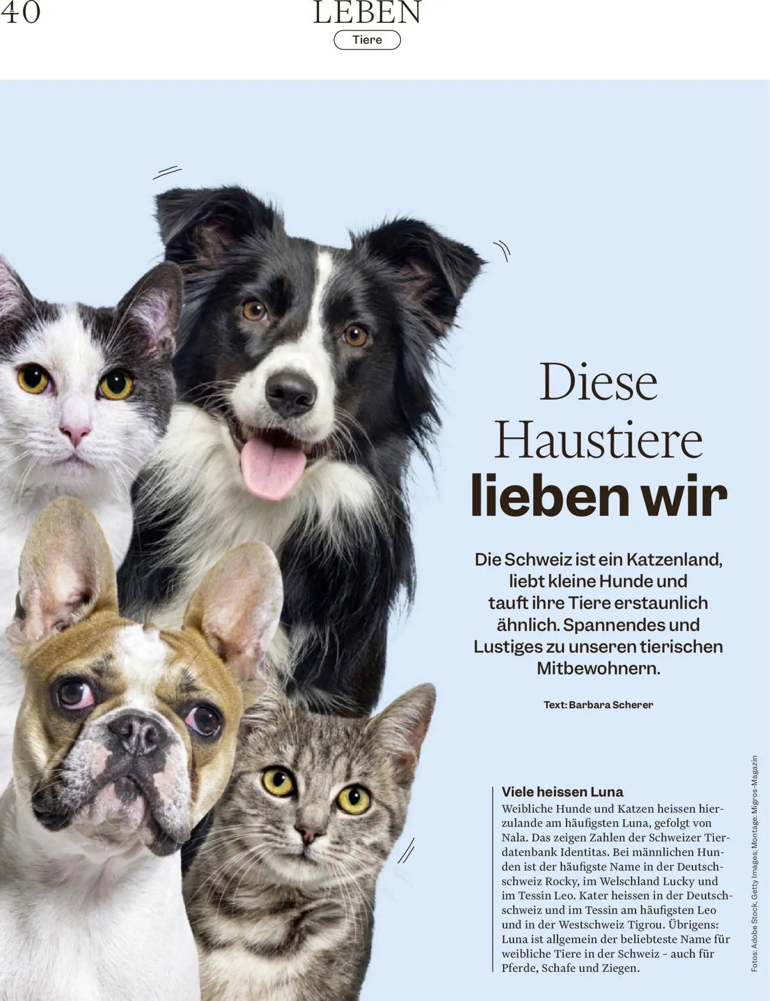 Migros aktionen Magazin