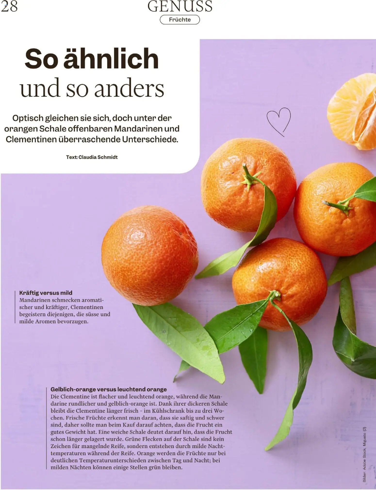 Migros Magazin (2025-12-16 - 2025-12-22) | 28