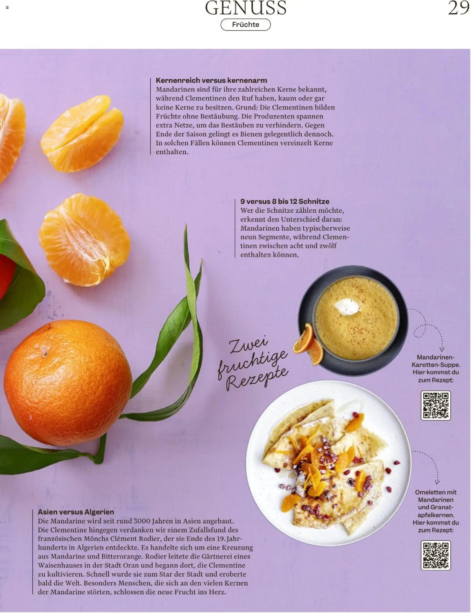 Migros Magazin (2025-12-16 - 2025-12-22) | 29