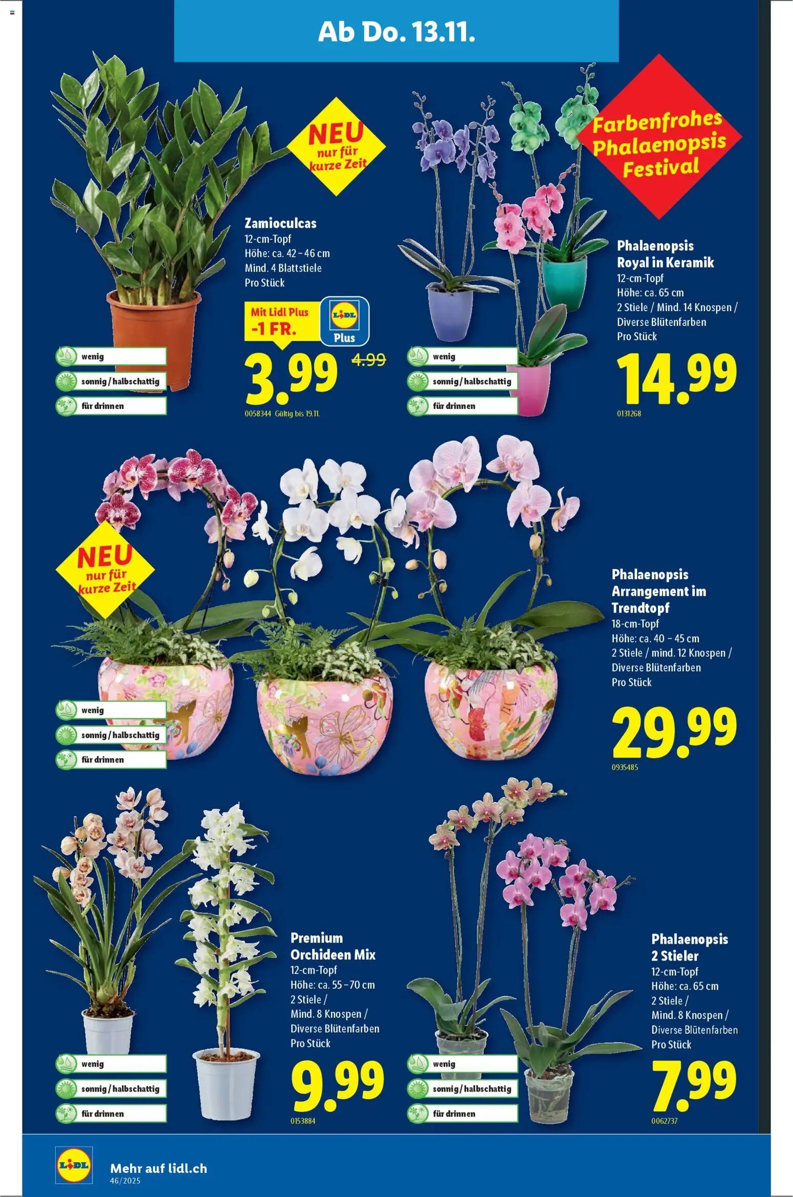 Lidl - Black Friday (2025-11-13 - 2025-11-19)