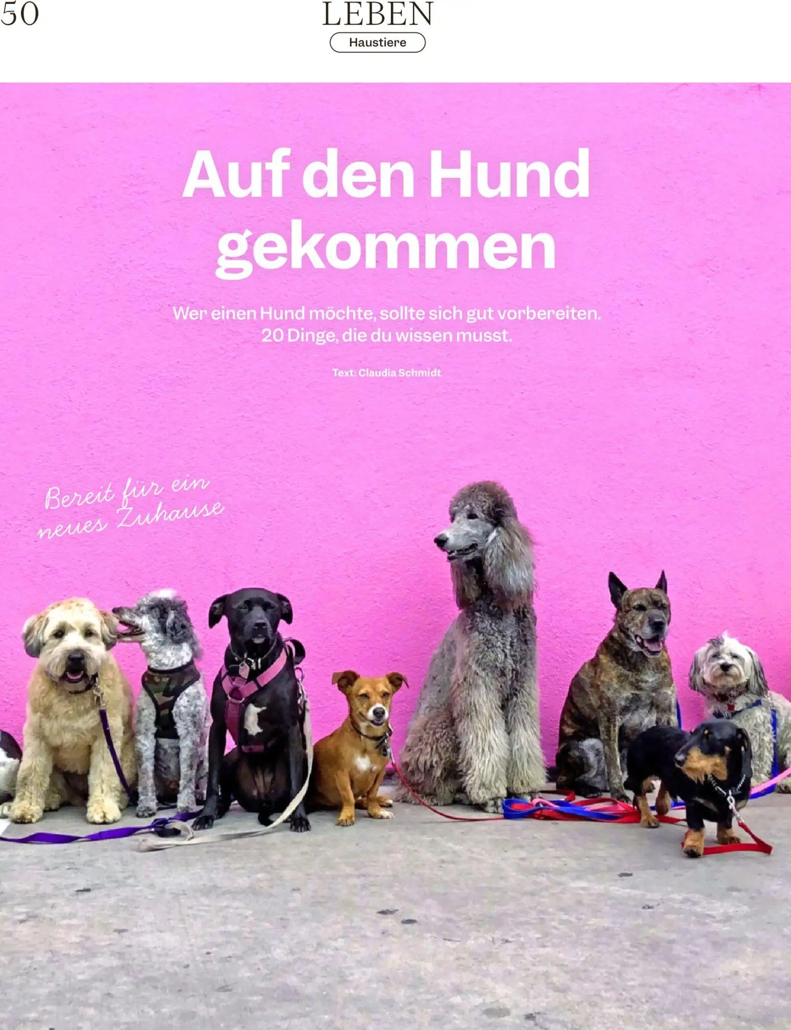 Migros aktionen Magazin