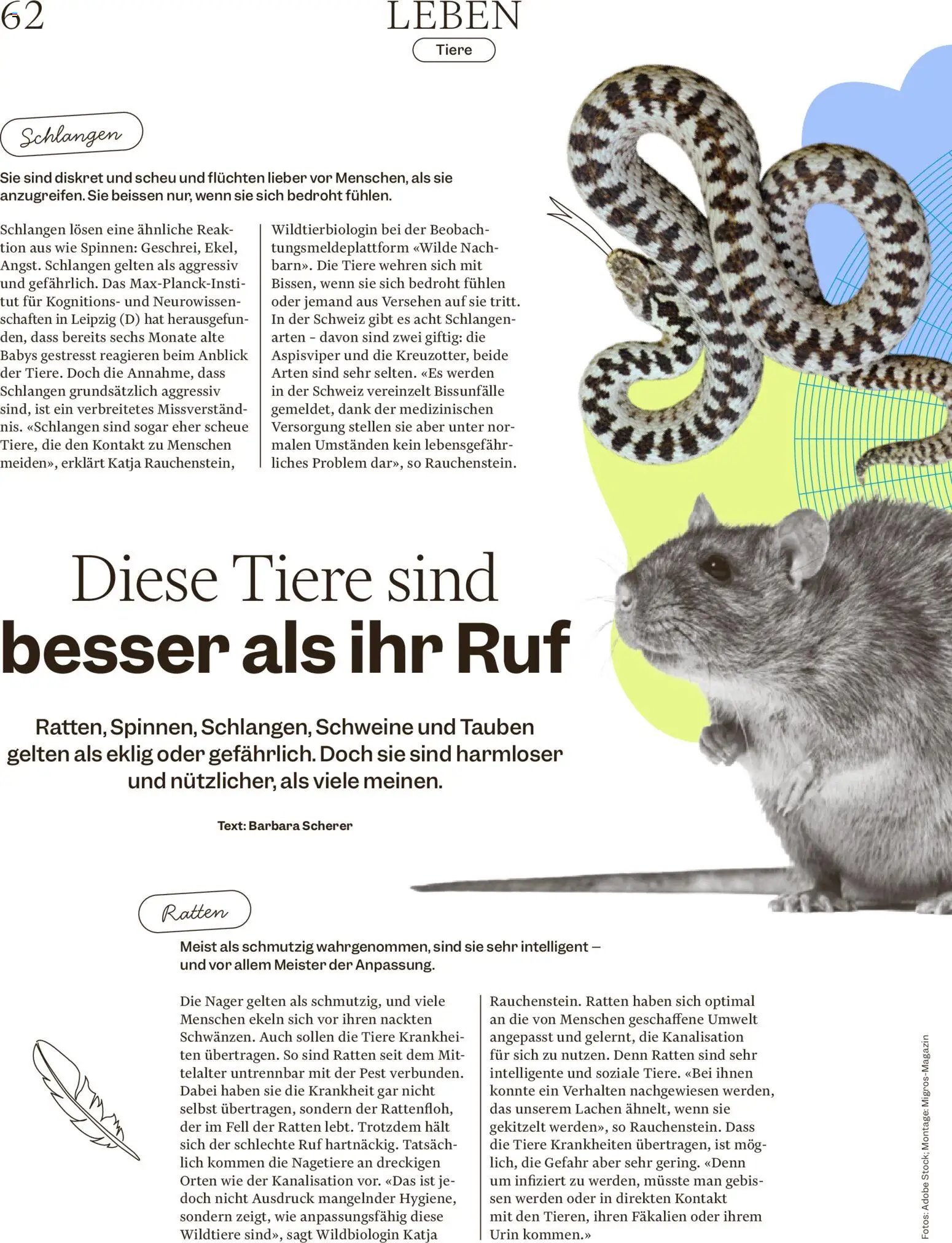 Migros aktionen Magazin