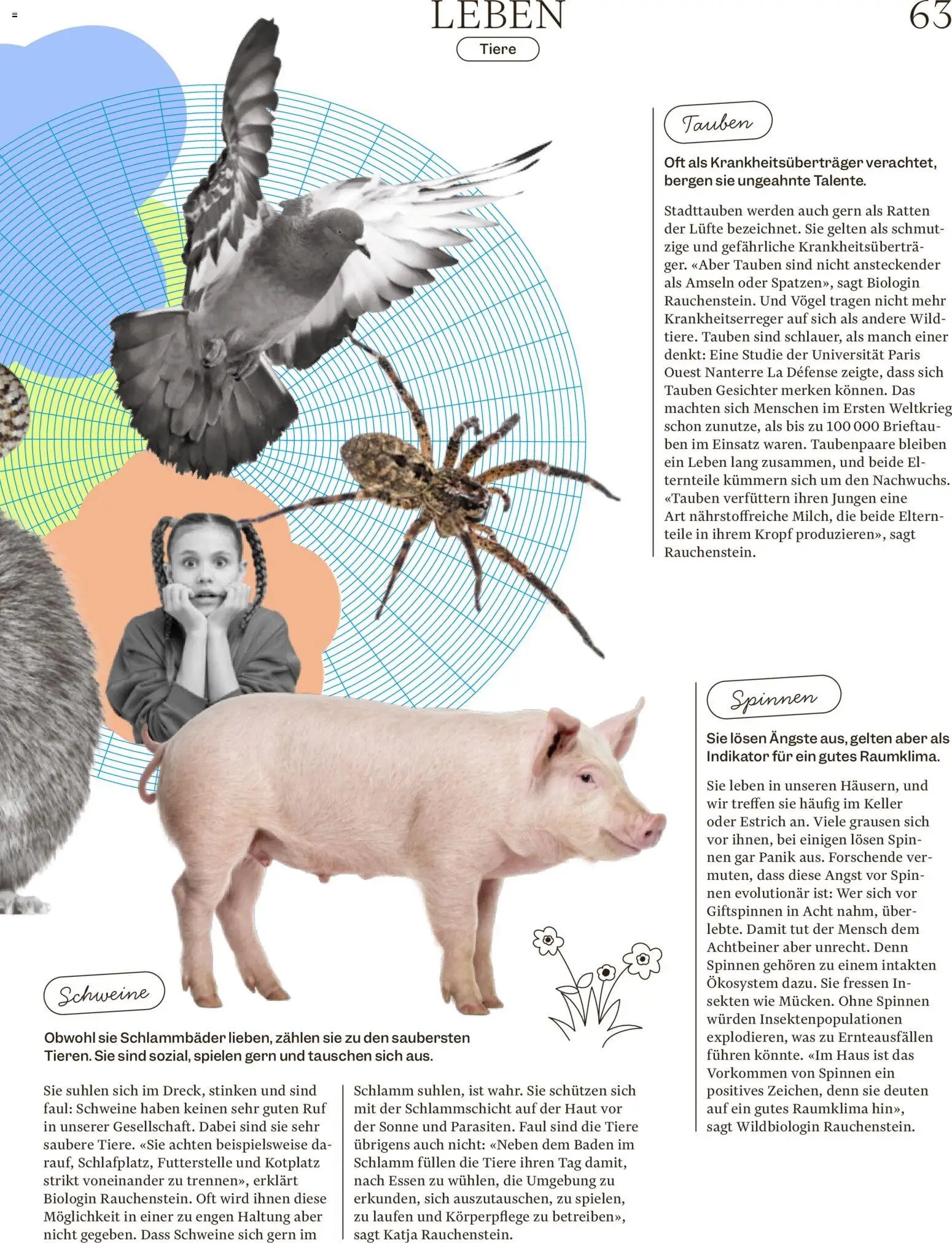 Migros aktionen Magazin