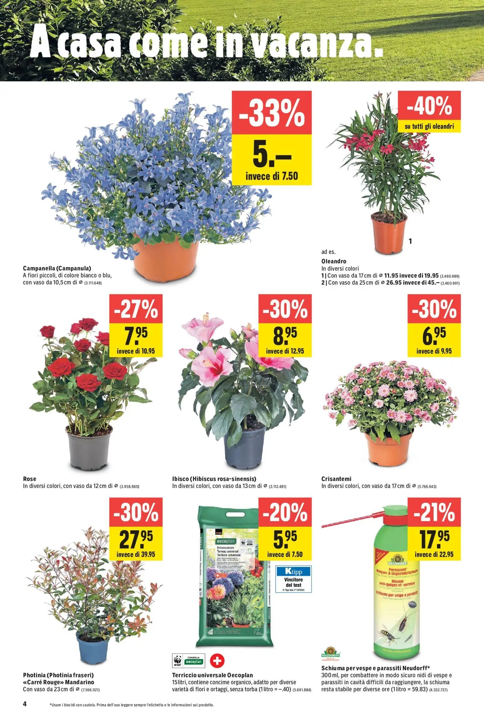 Jumbo aktionen IT