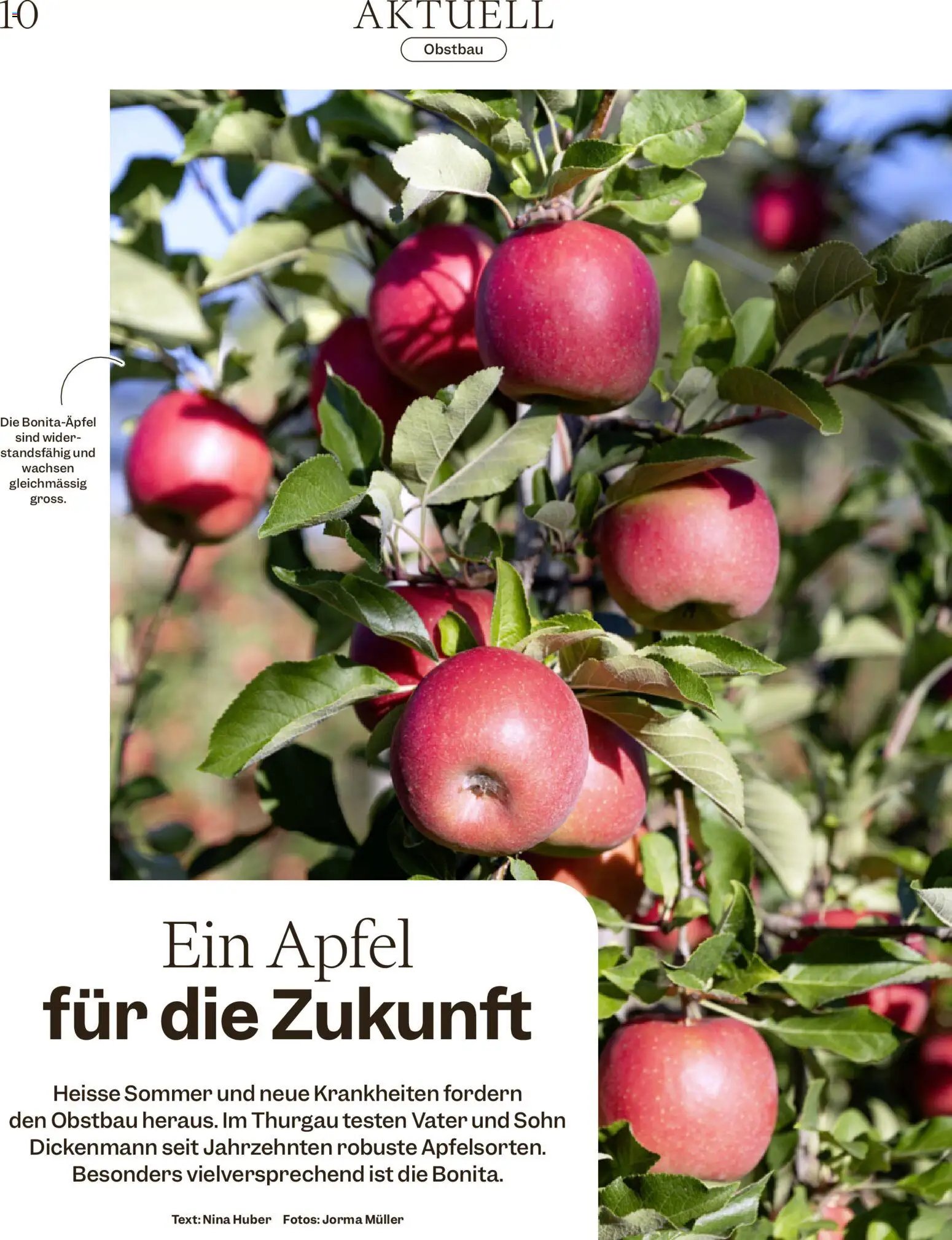 Migros aktionen Magazine