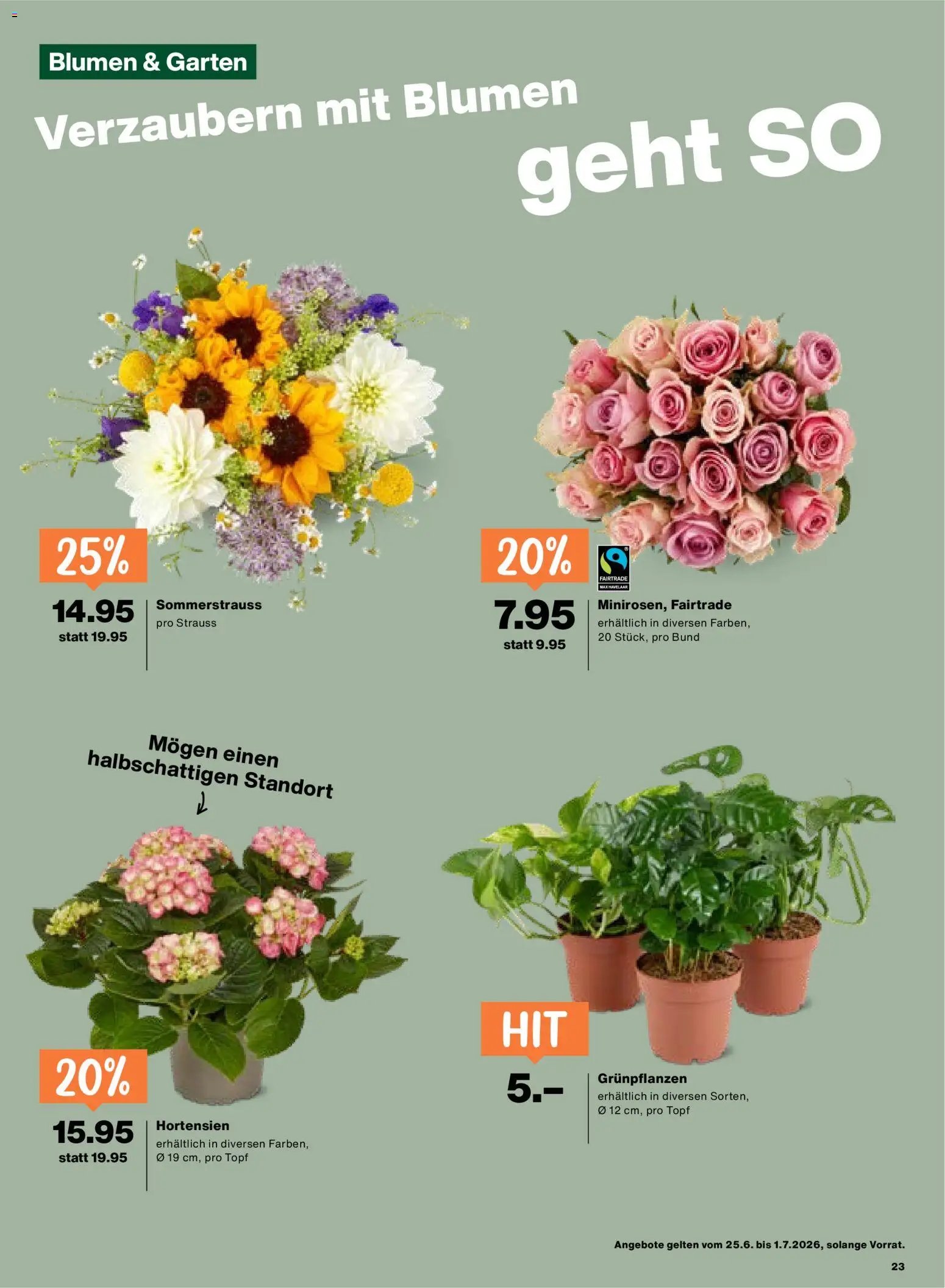 Migros aktionen