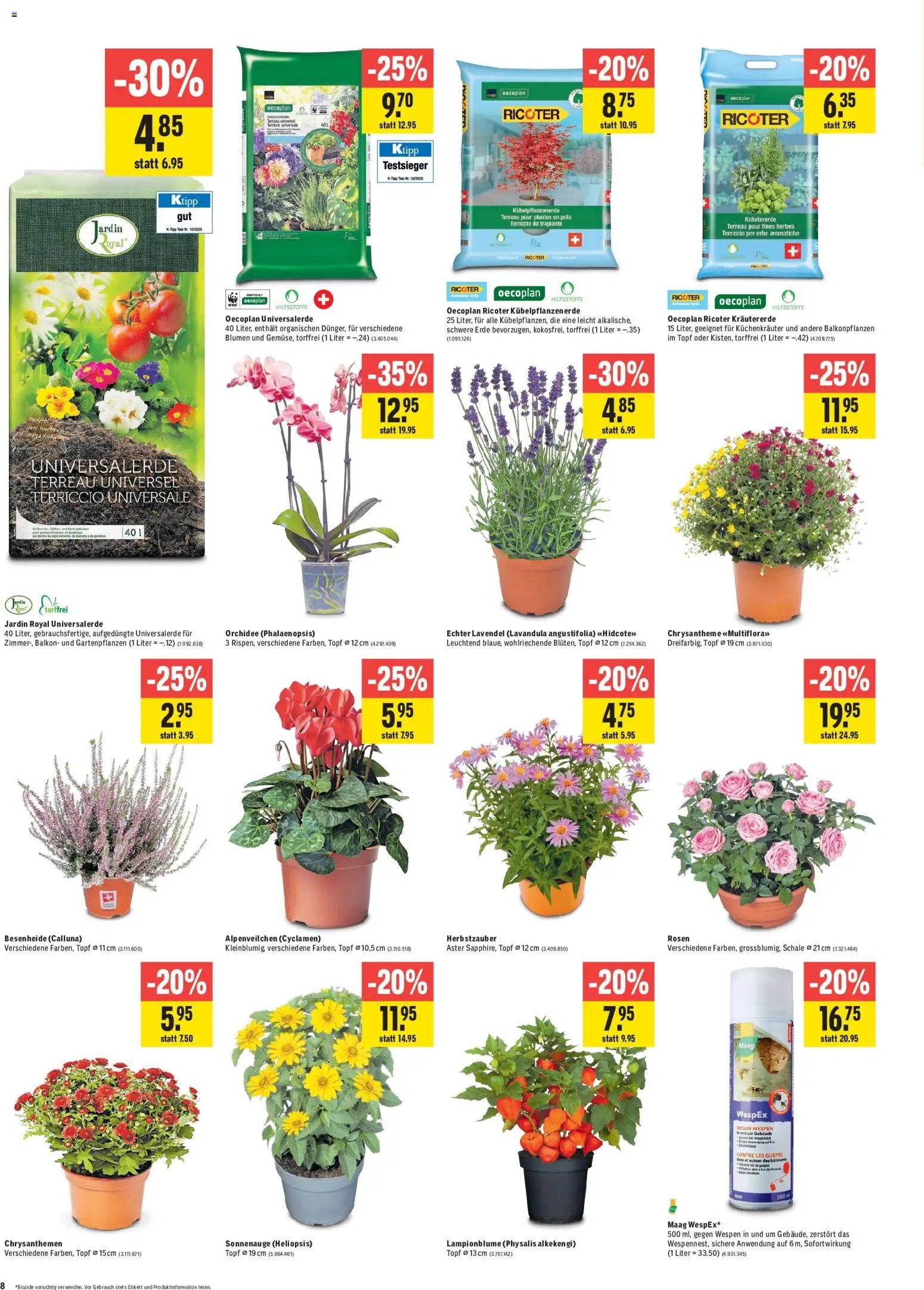 Jumbo aktionen
