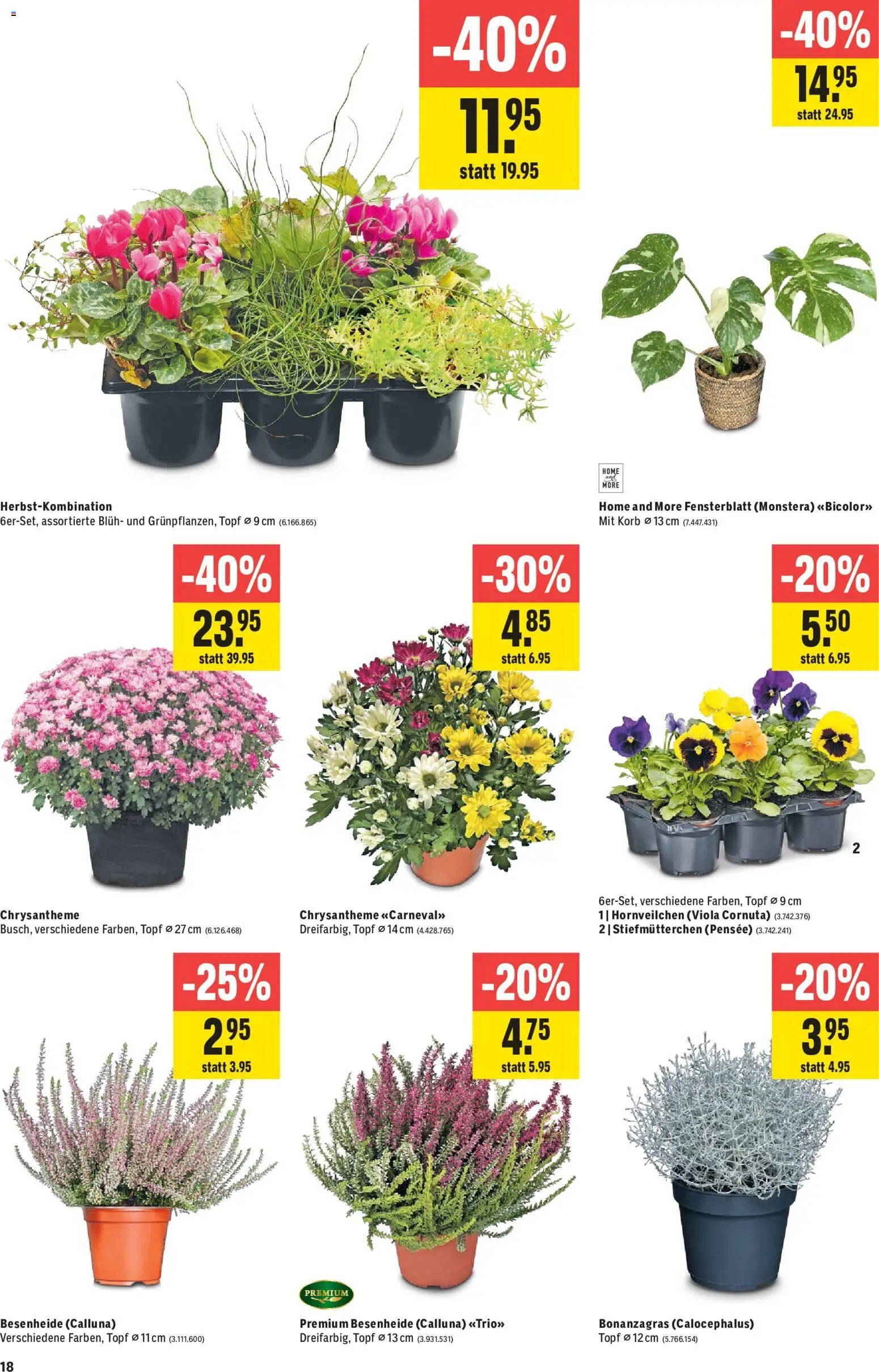 Jumbo aktionen