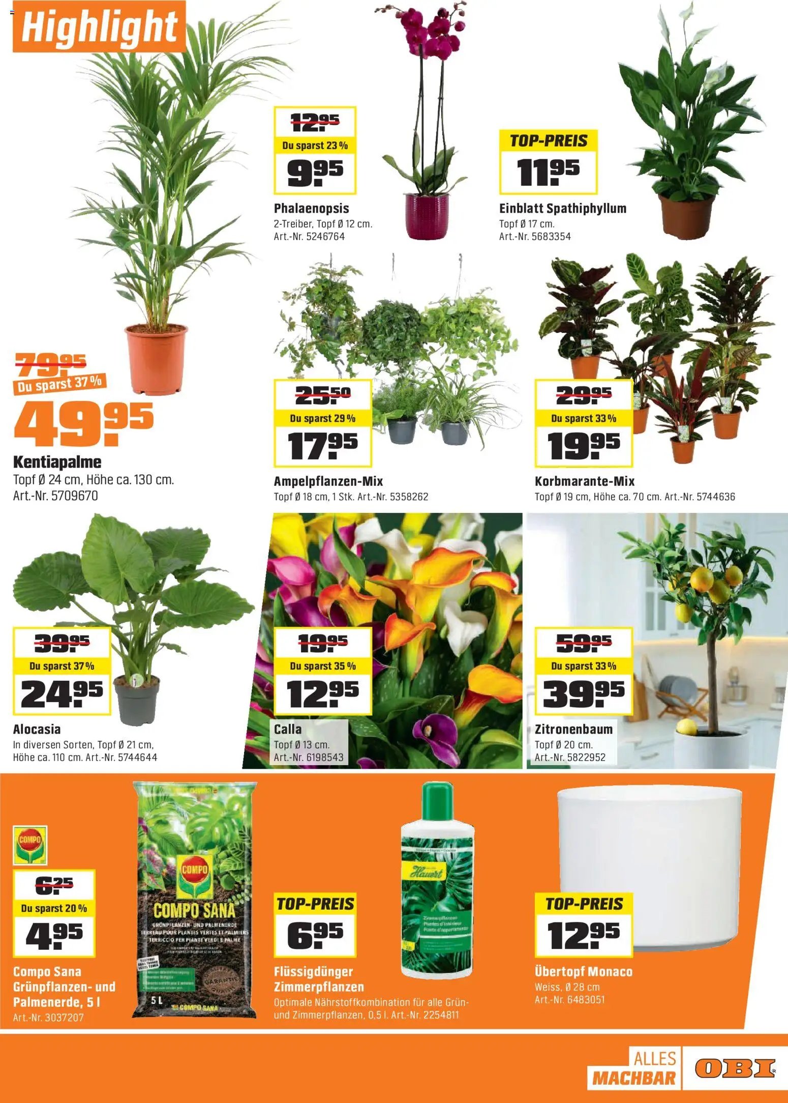 OBI - BIBERSTARKE Angebote bei OBI. (2026-02-01 - 2026-02-14)