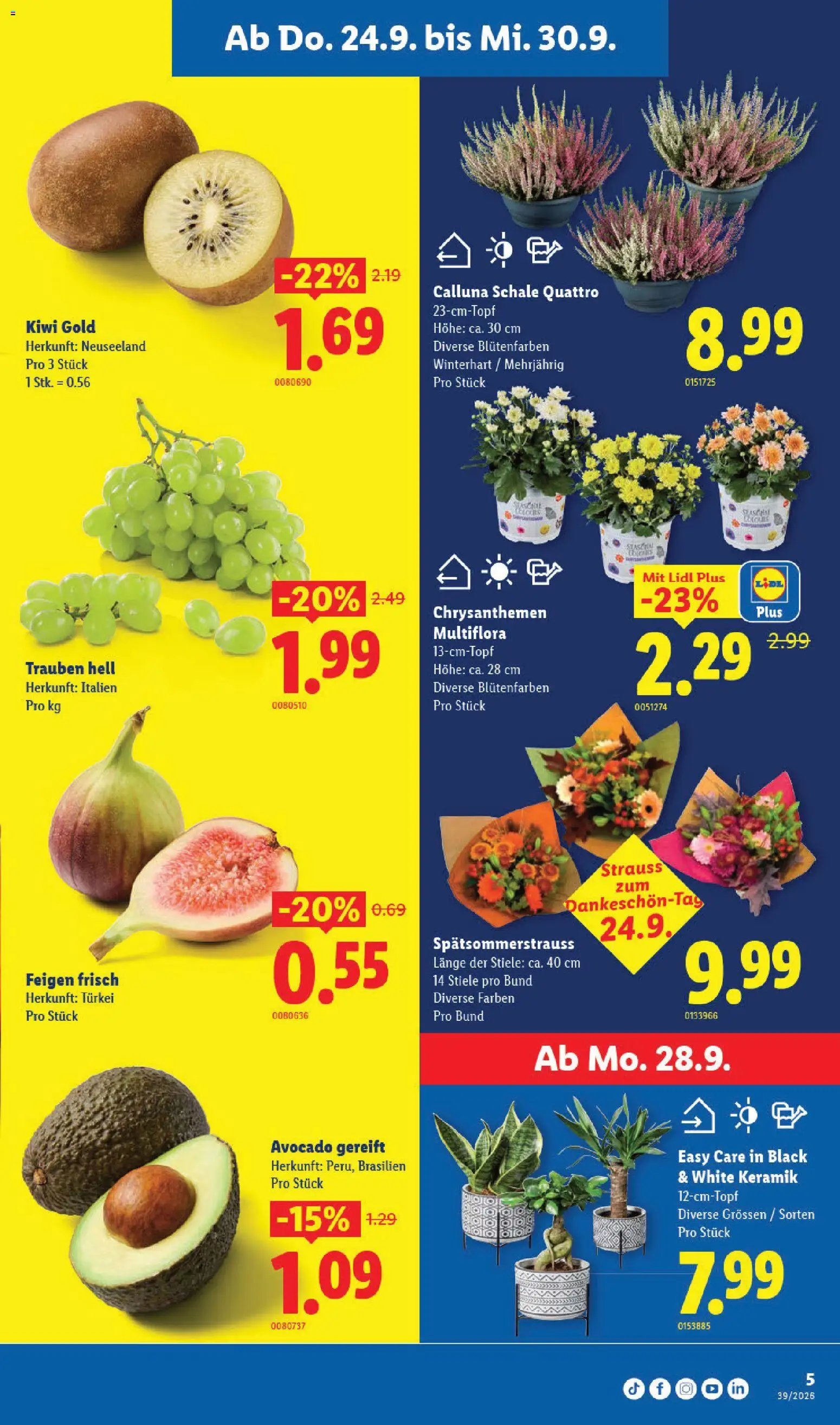 Lidl aktionen