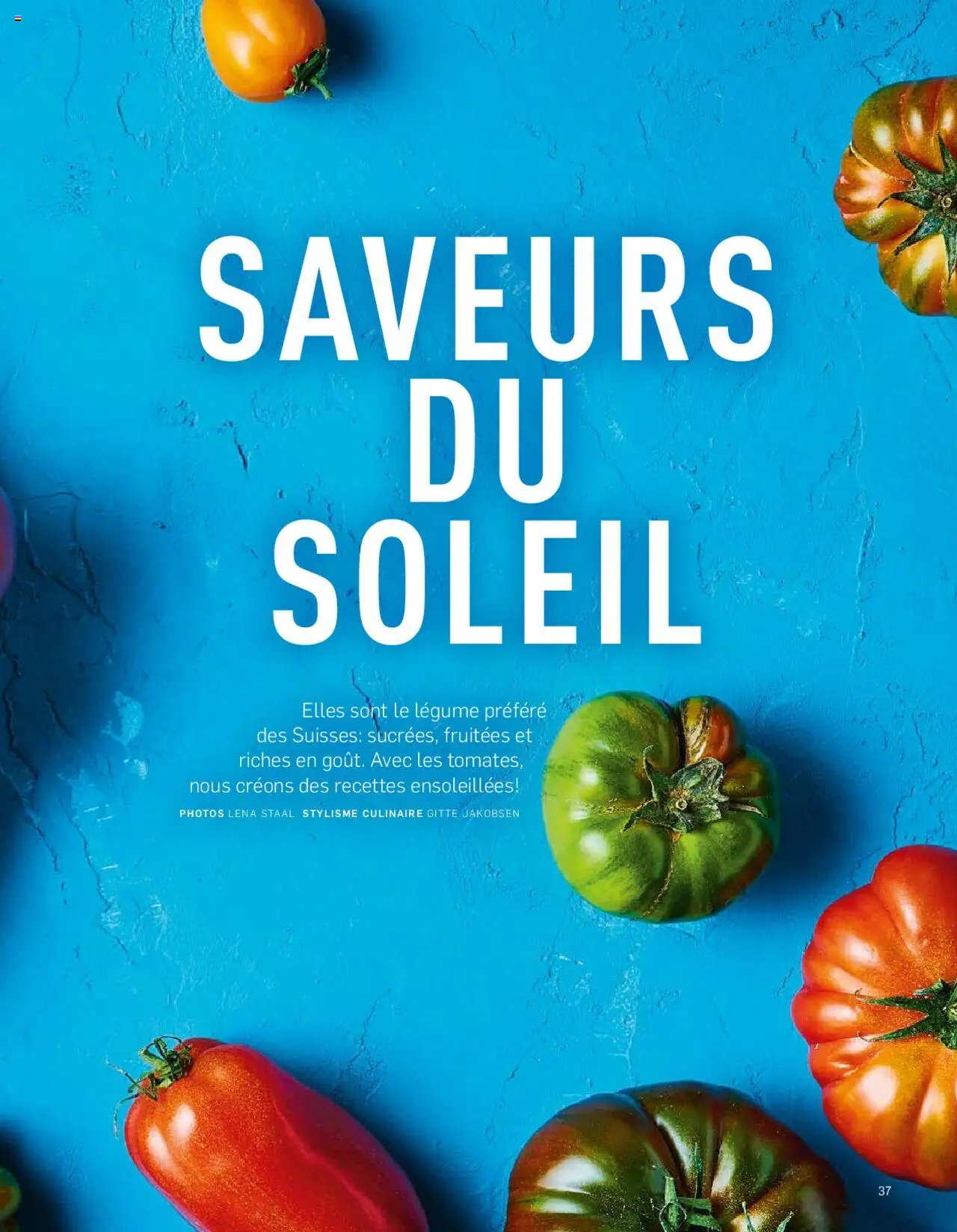 Aldi Aktuelle Fruhlings - Inspiration FR (2025-04-07 - 2025-12-31)