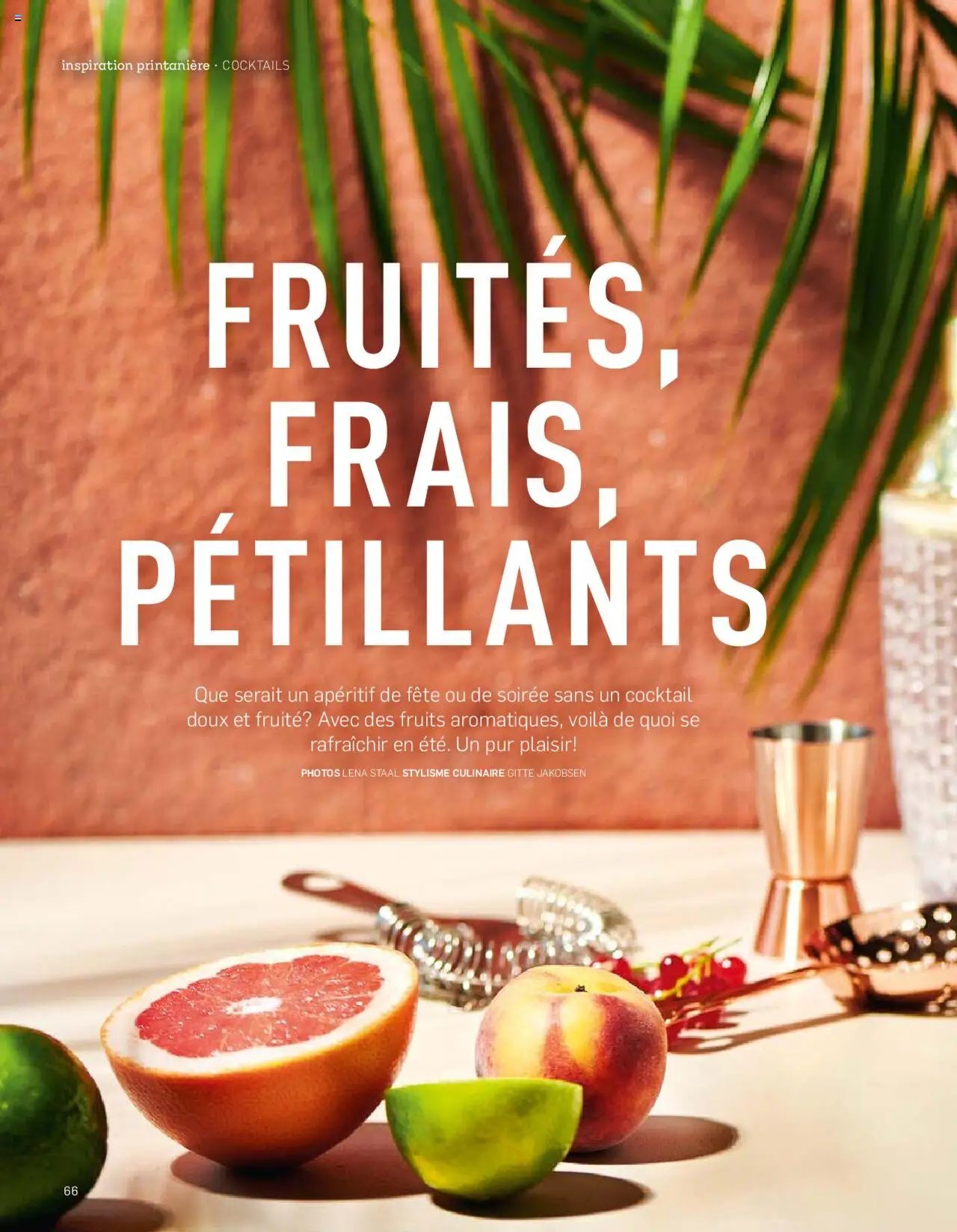 Aldi Aktuelle Fruhlings - Inspiration FR (2025-04-07 - 2025-12-31)