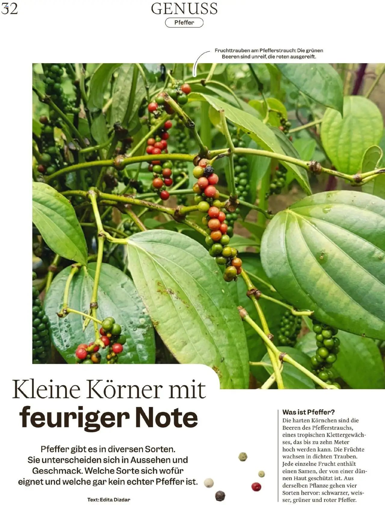 Migros Magazin (2025-10-06 - 2025-10-13)