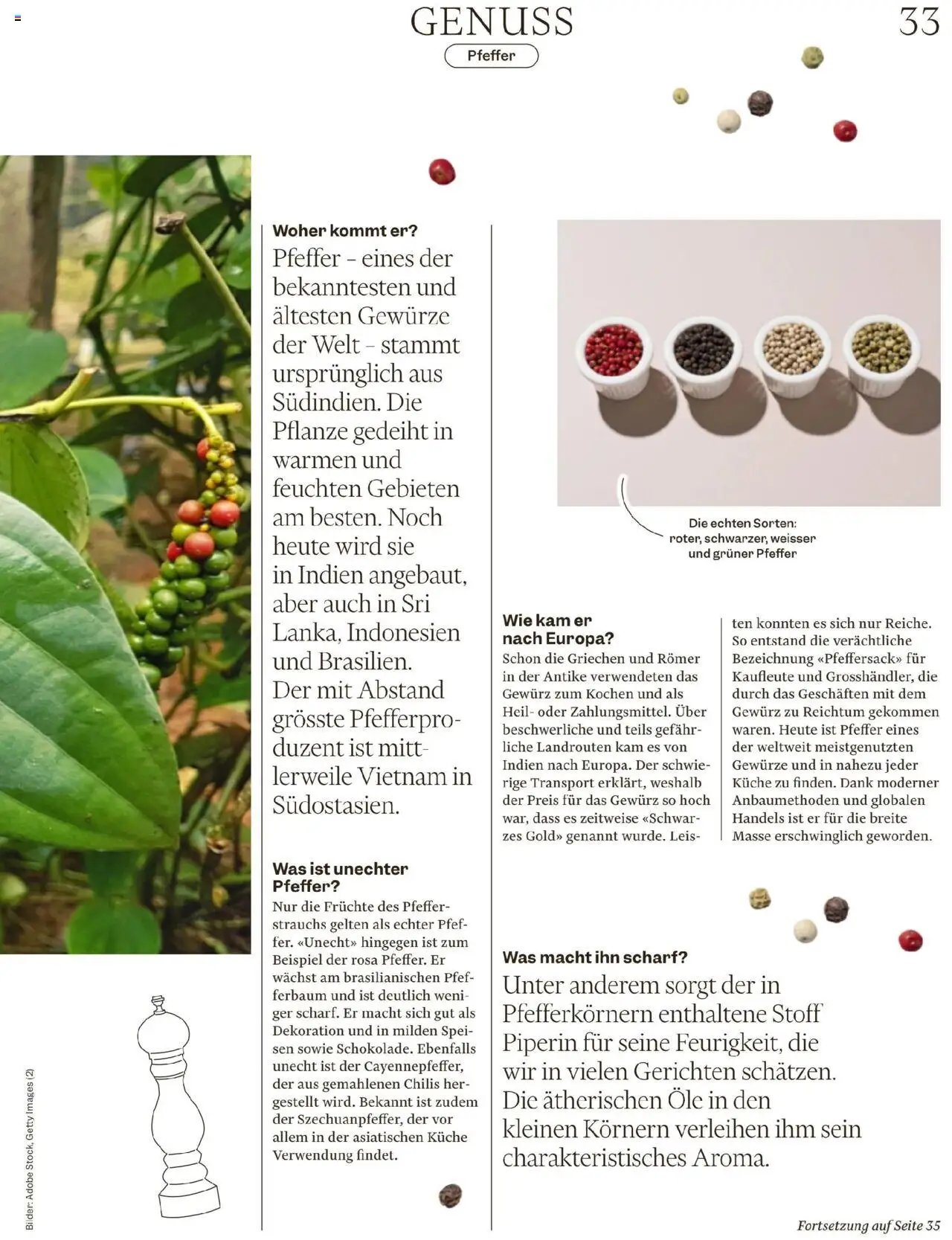 Migros Magazin (2025-10-06 - 2025-10-13)