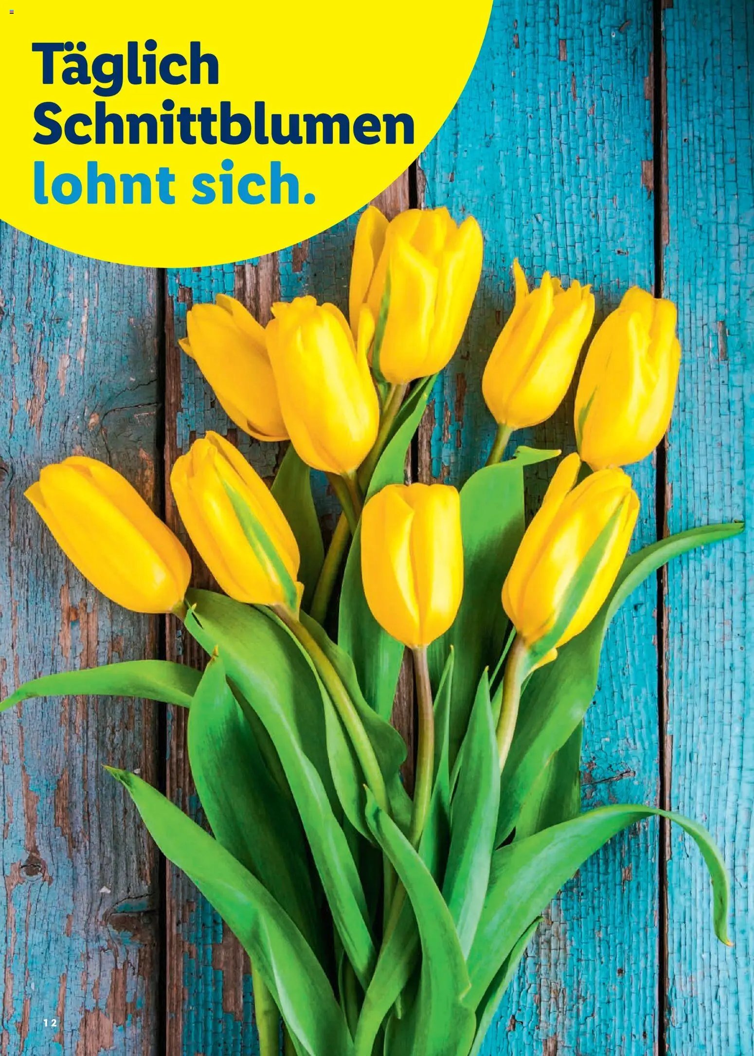 Lidl Aktionen Ostern (2026-02-26 - 2026-04-05)