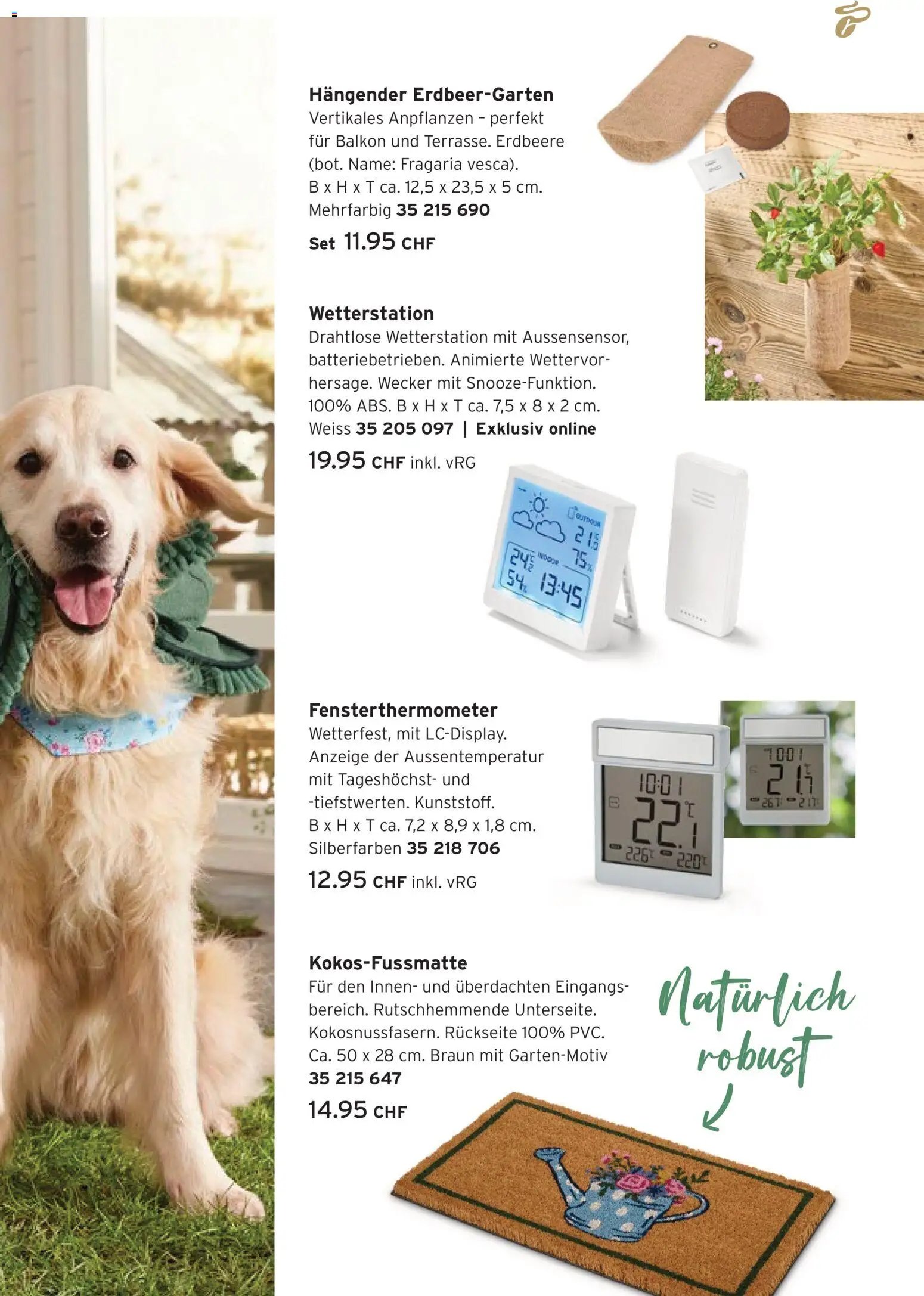 Tchibo aktionen Glück wächst im Grünen (2026-04-07 - 2026-04-27)