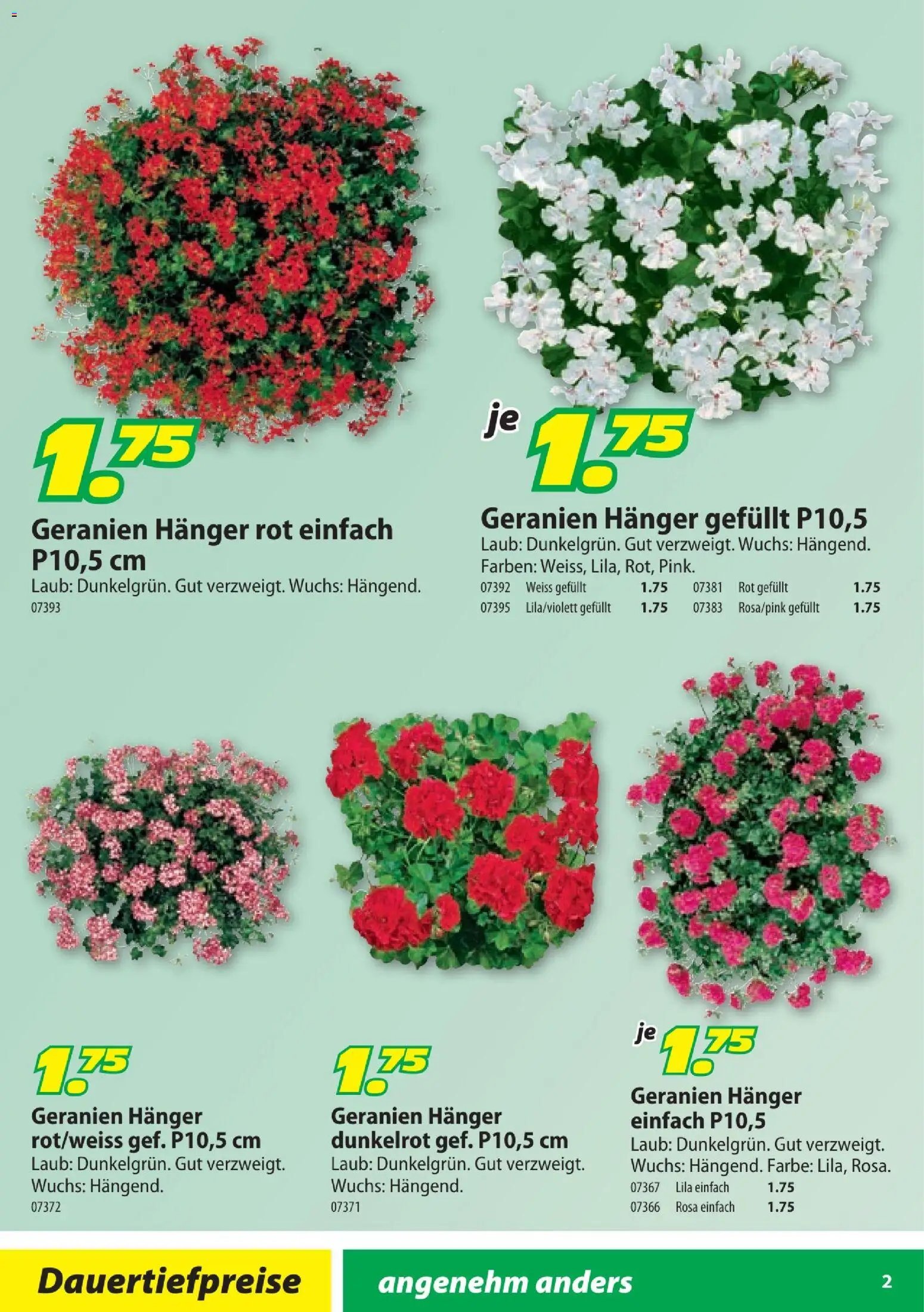 Landi aktionen Geranien (2026-04-10 - 2026-06-30) | 2