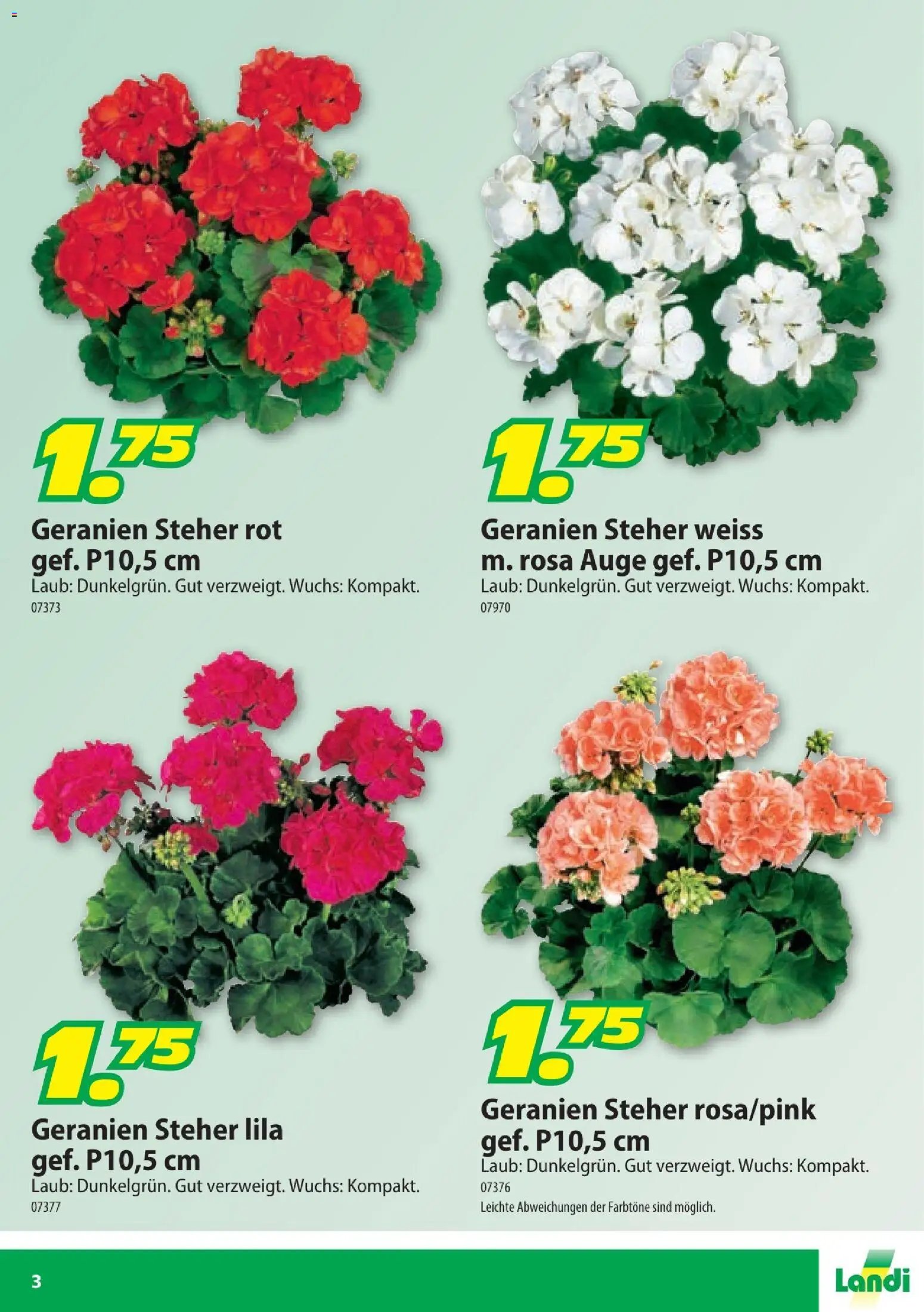Landi aktionen Geranien (2026-04-10 - 2026-06-30) | 3