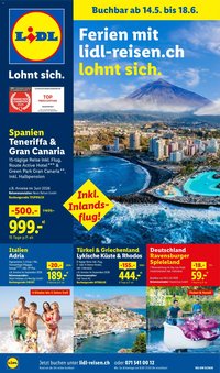 Lidl aktionen Ferien (2026-05-14 - 2026-06-18)