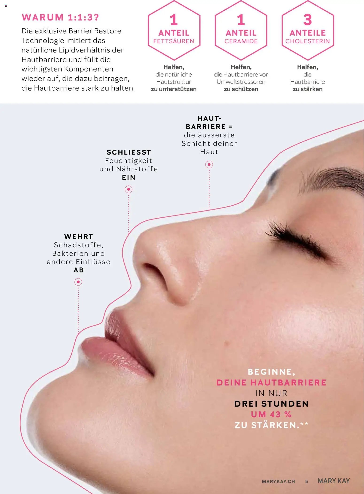 Mary Kay Aktionen (2026-01-16 - 2026-02-28) | 5