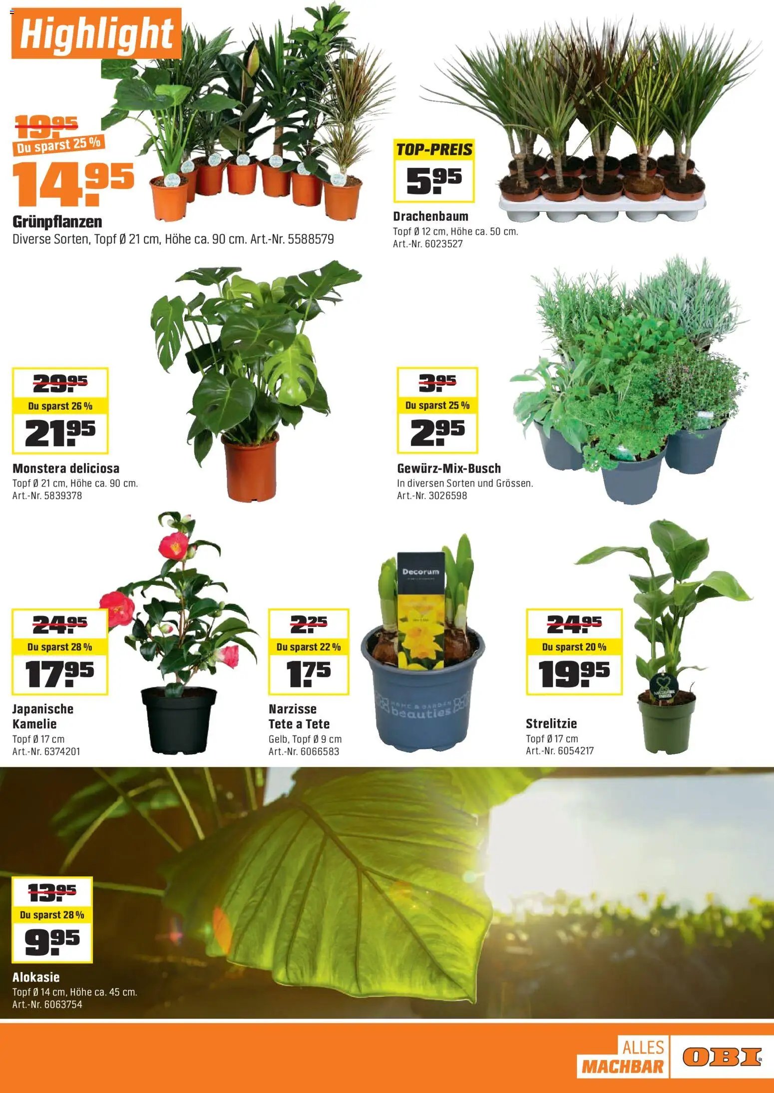 OBI - Alles machbar mit OBI. (2026-01-10 - 2026-01-31) | 13