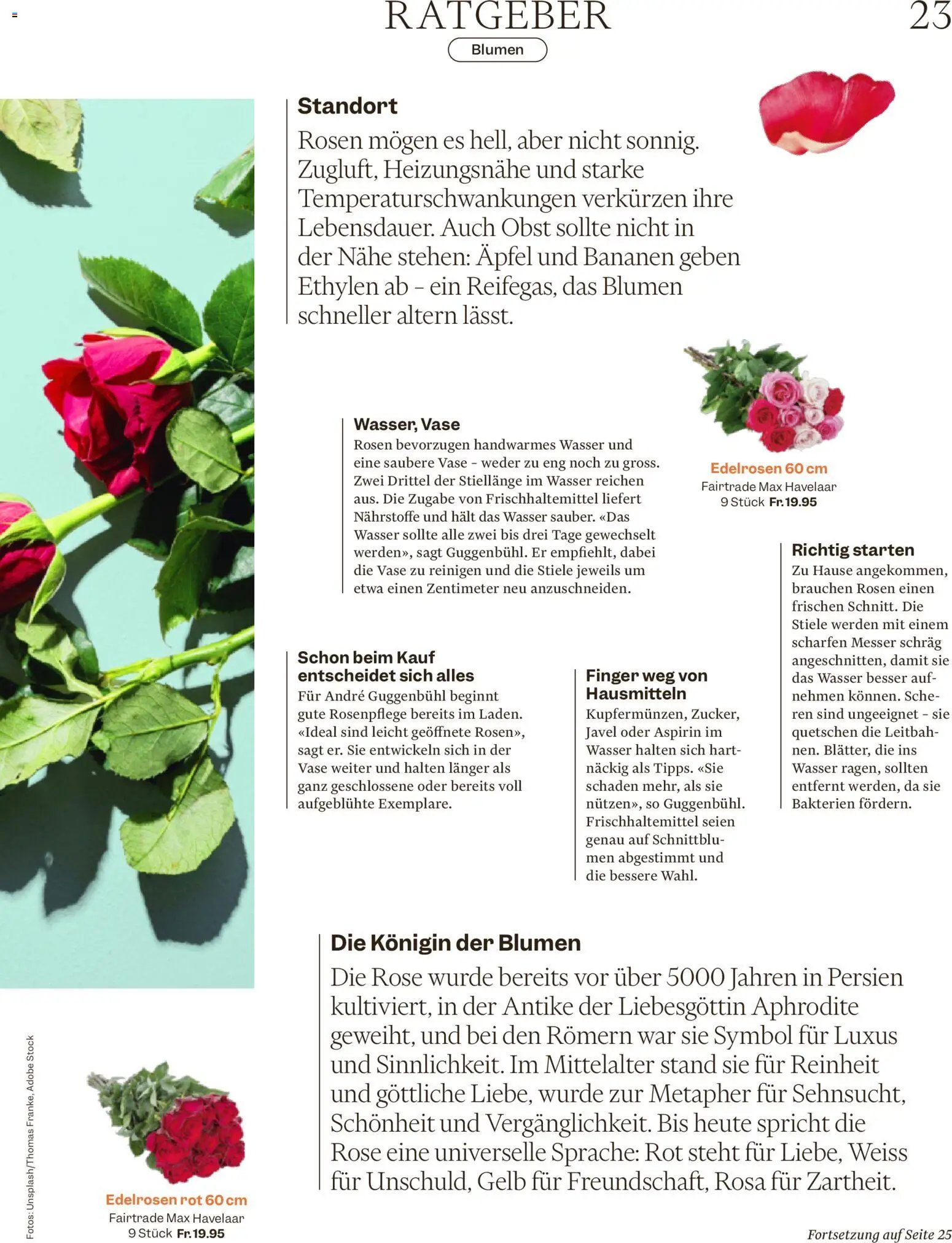 Migros - Magazin (2026-02-04 - 2026-02-10)