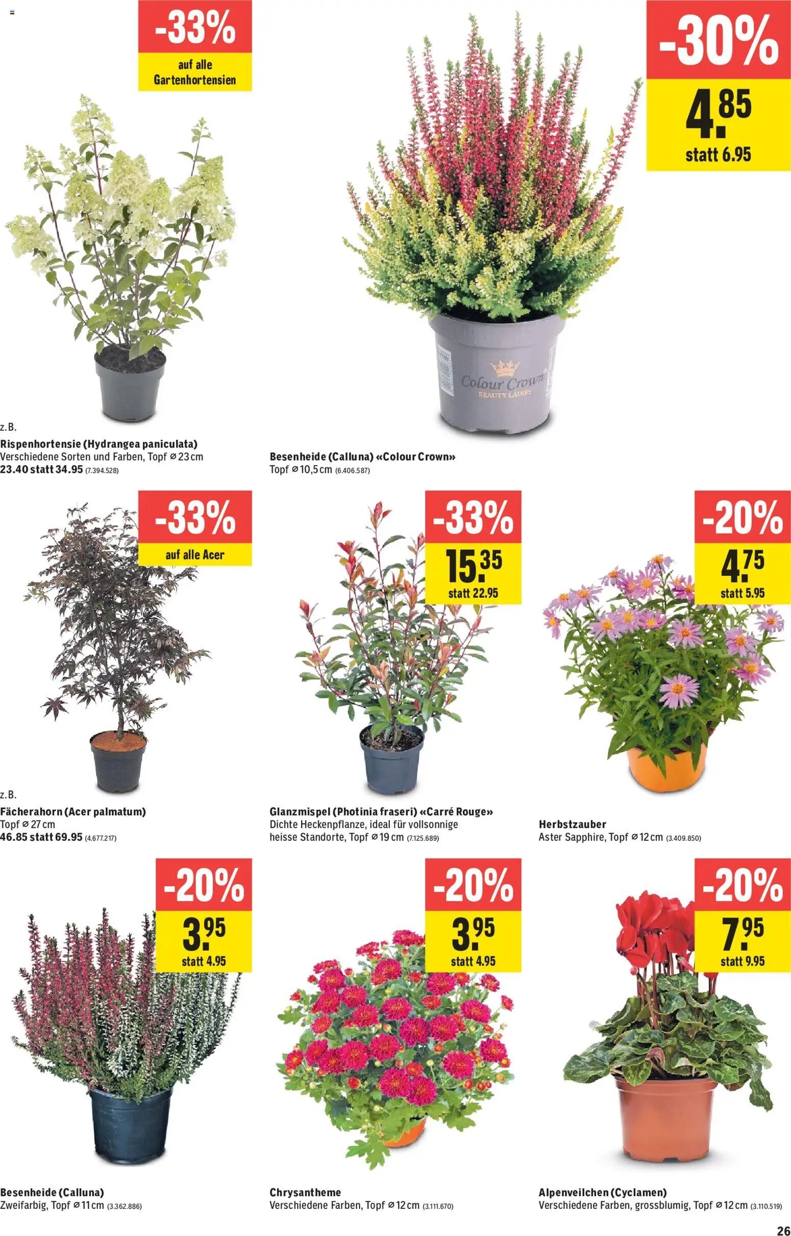 Jumbo aktionen