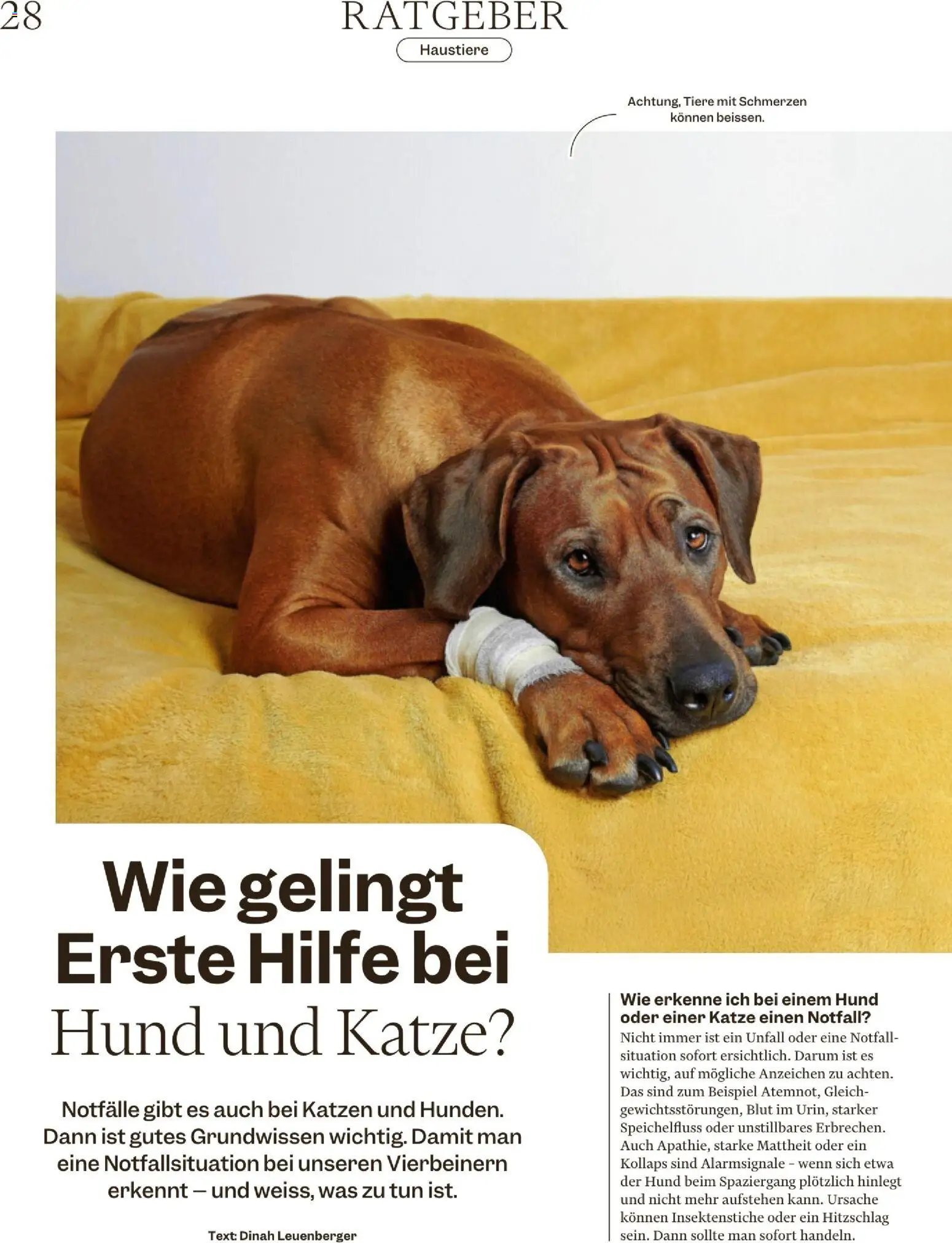 Migros Magazin (2025-11-17 - 2025-11-24)