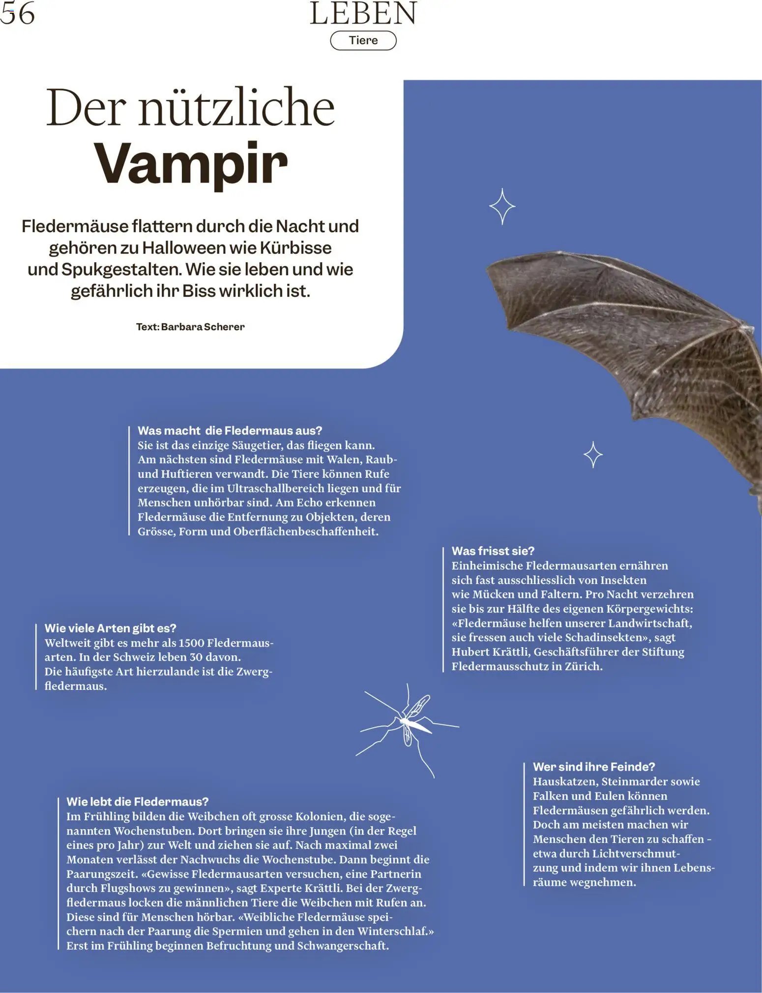 Migros aktionen Magazine