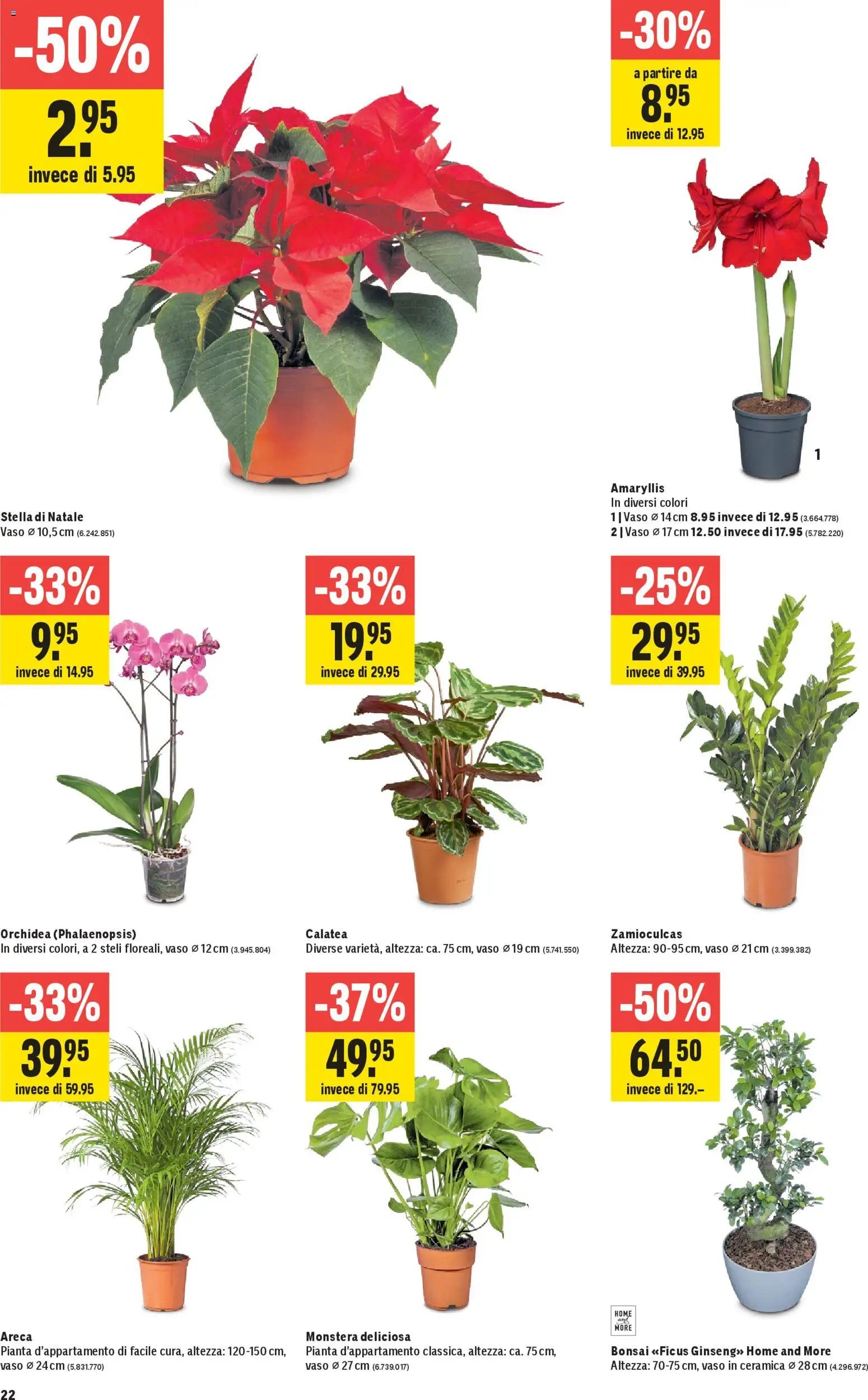 Jumbo Aktionen IT (2025-10-23 - 2025-11-05) | 22