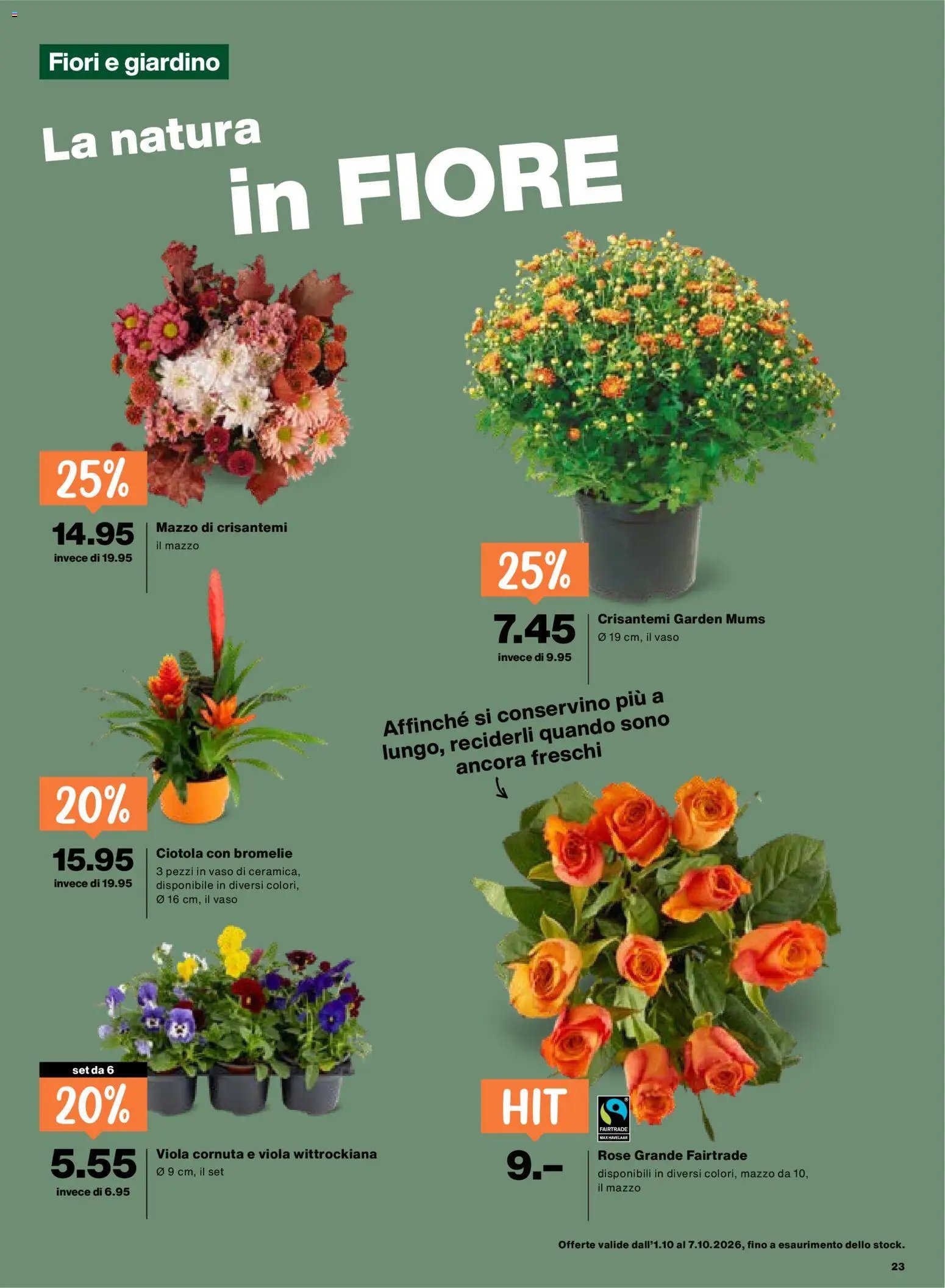 Migros aktionen IT
