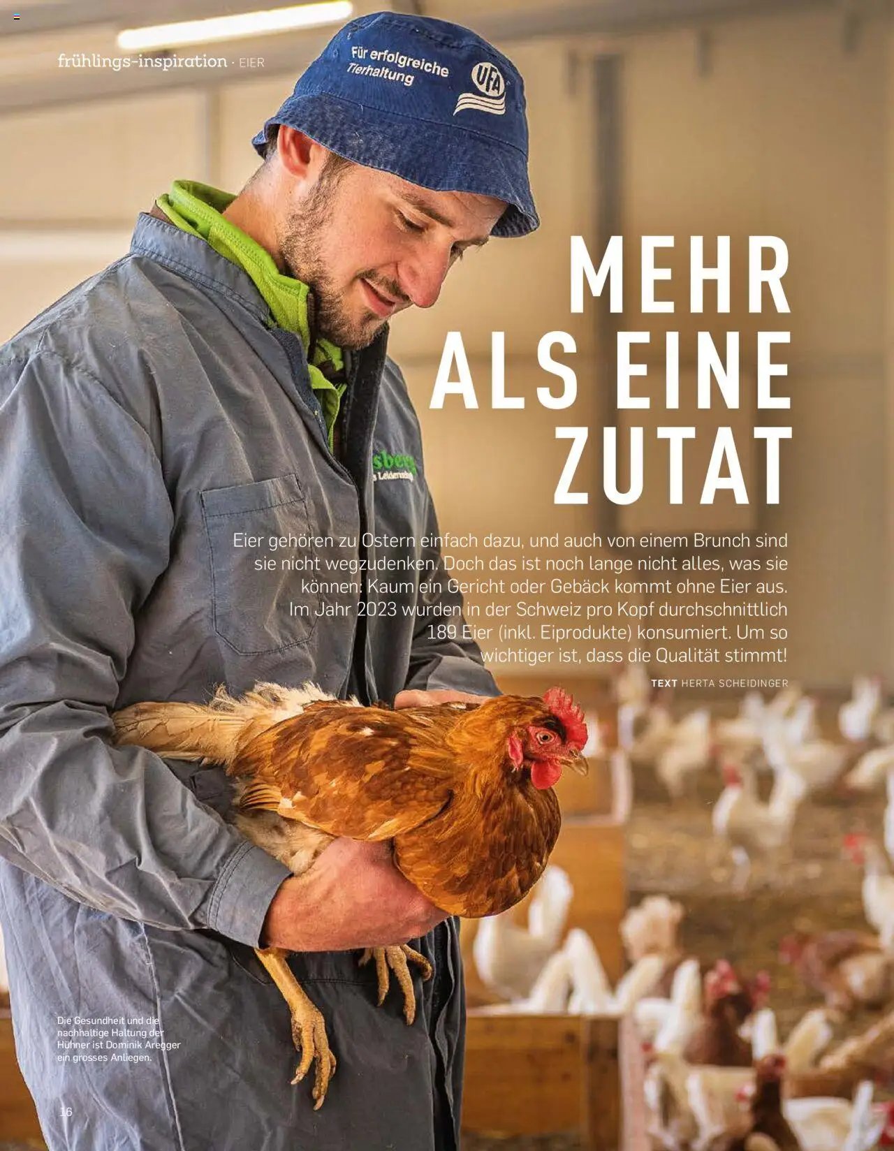 Aldi Aktuelle Fruhlings - Inspiration (2025-04-07 - 2025-12-31)