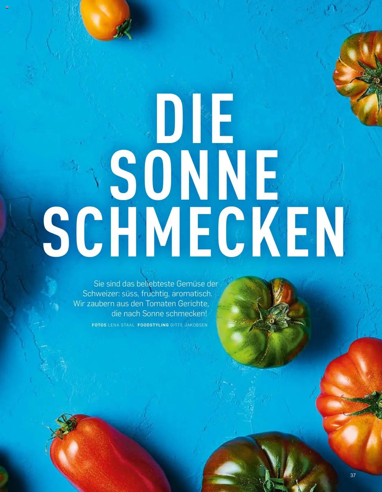 Aldi Aktuelle Fruhlings - Inspiration (2025-04-07 - 2025-12-31)