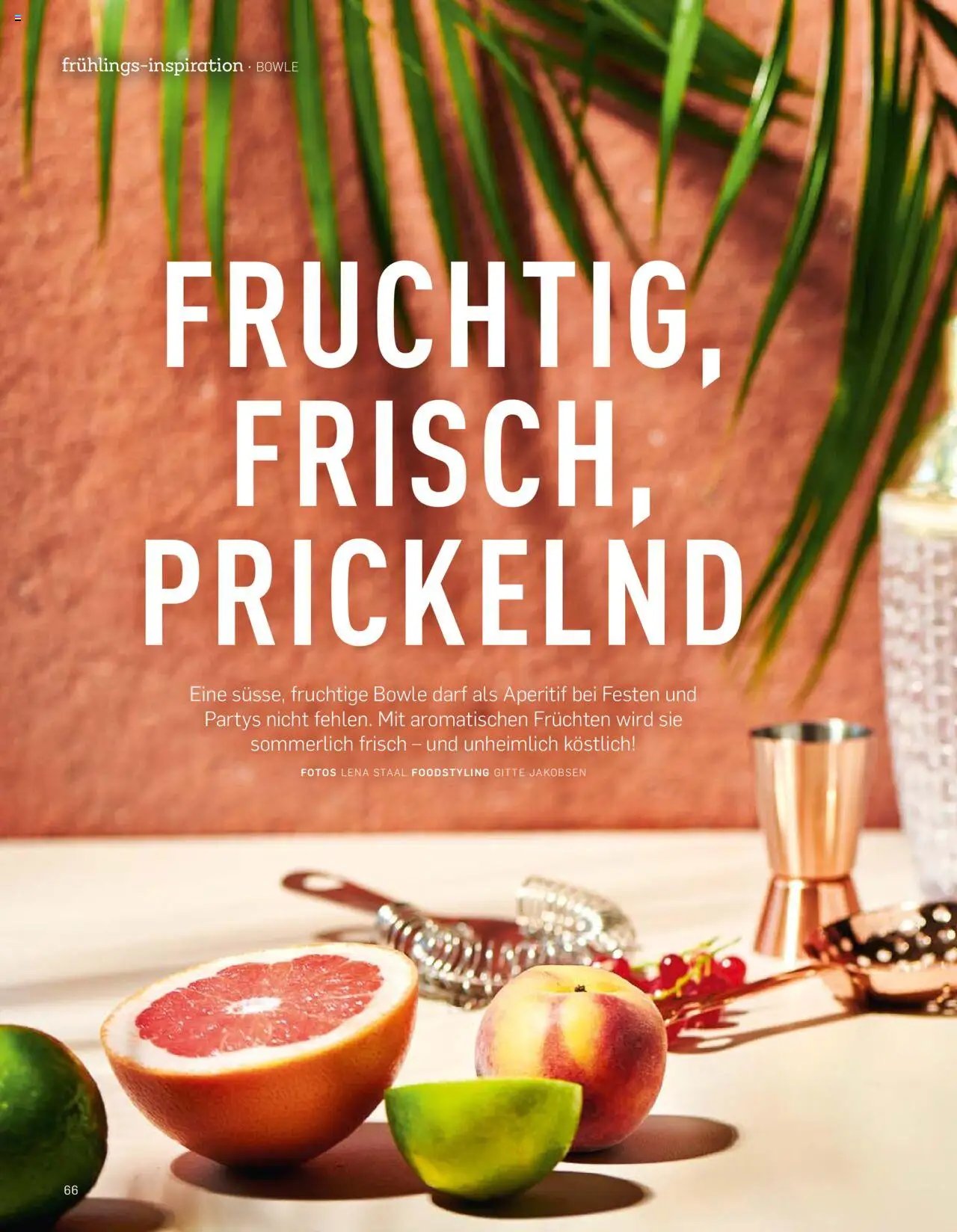 Aldi Aktuelle Fruhlings - Inspiration (2025-04-07 - 2025-12-31)