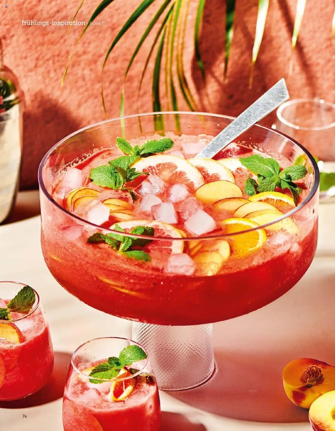 Aldi Aktuelle Fruhlings - Inspiration (2025-04-07 - 2025-12-31)