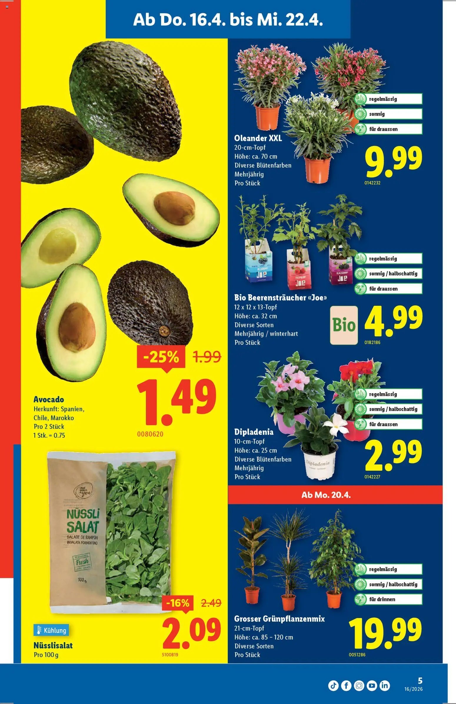Lidl aktionen (2026-04-16 - 2026-04-22) | 5