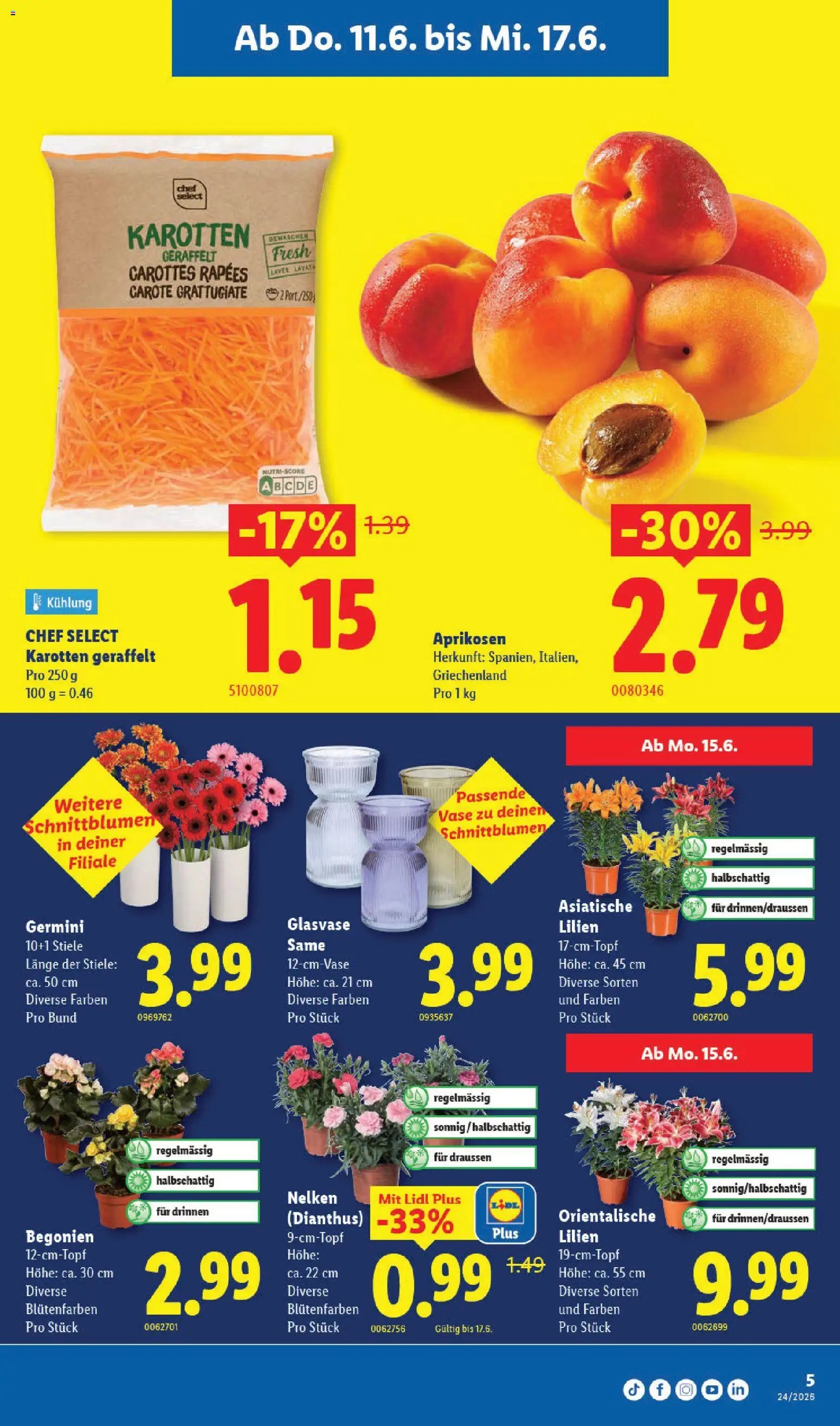 Lidl aktionen