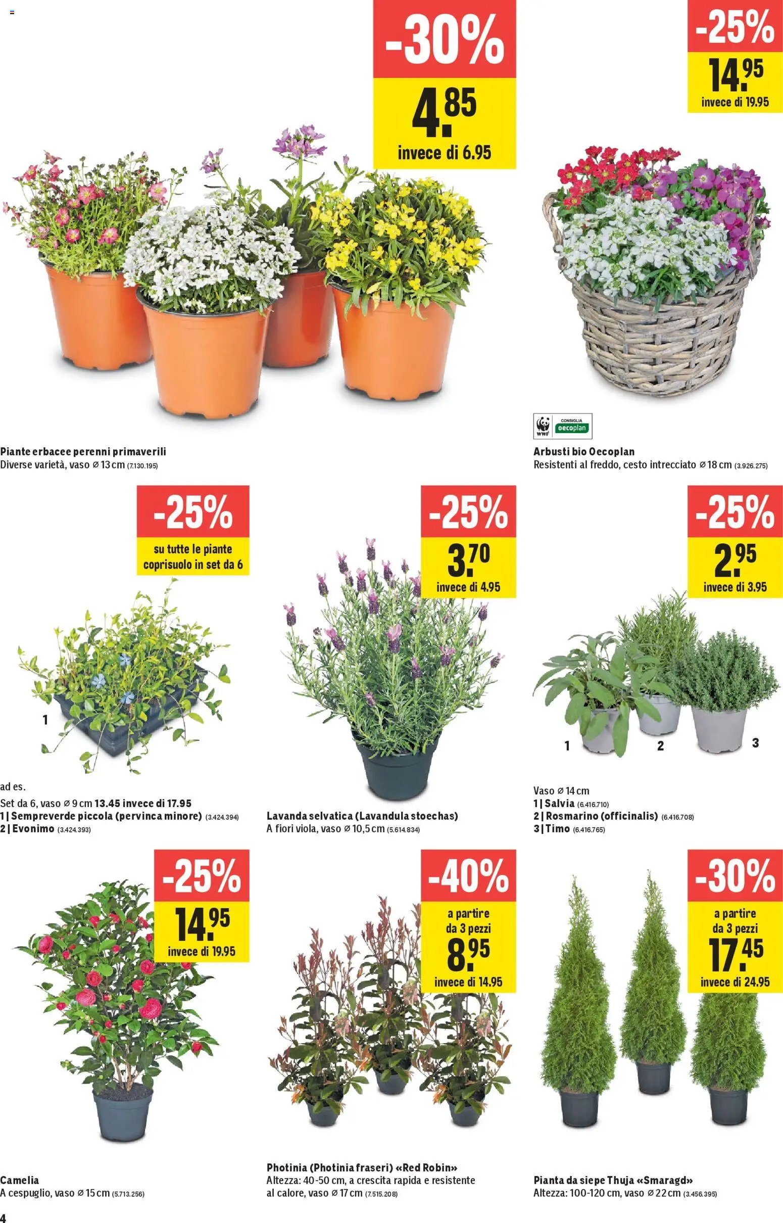 Jumbo aktionen IT (2026-03-12 - 2026-03-25)