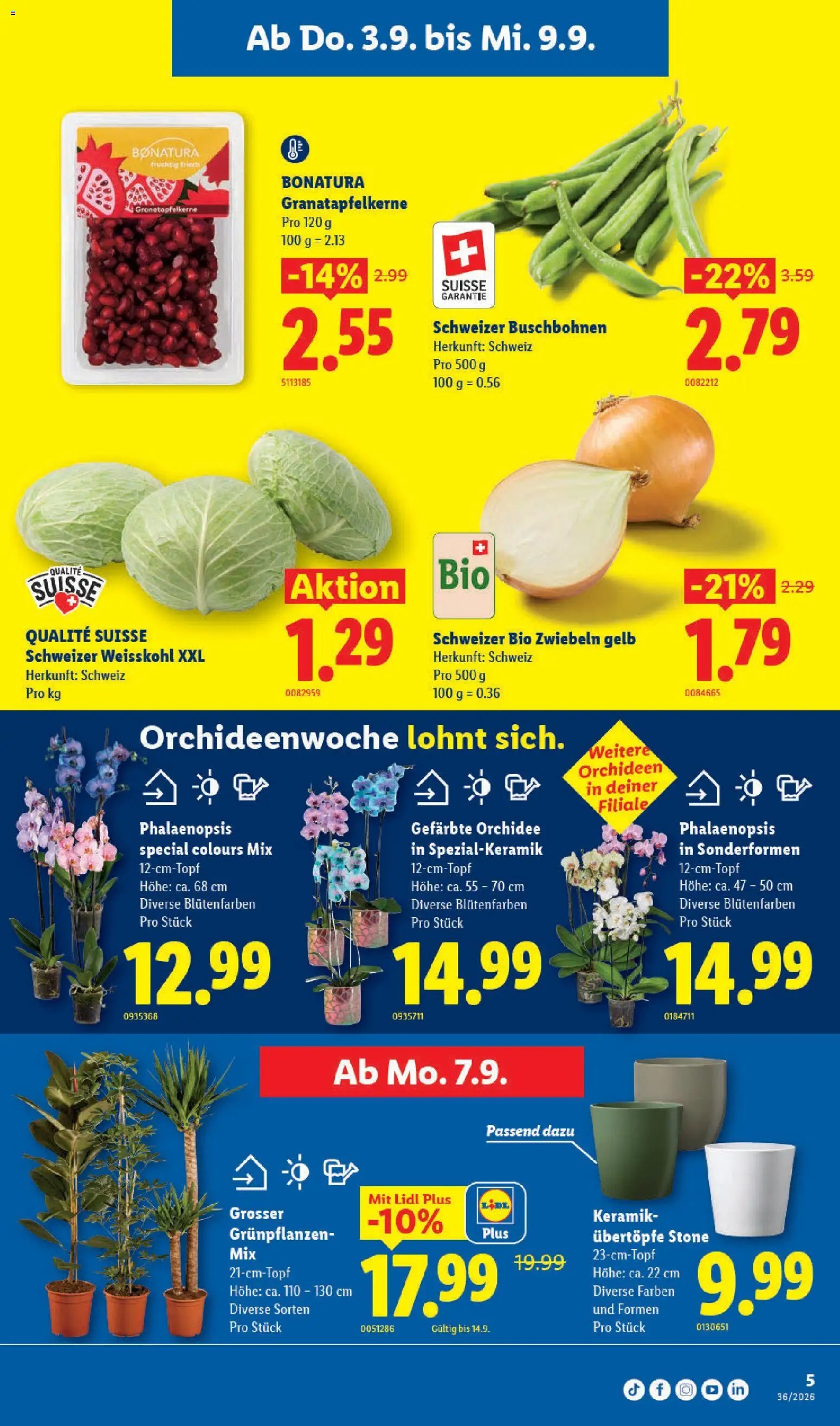Lidl aktionen